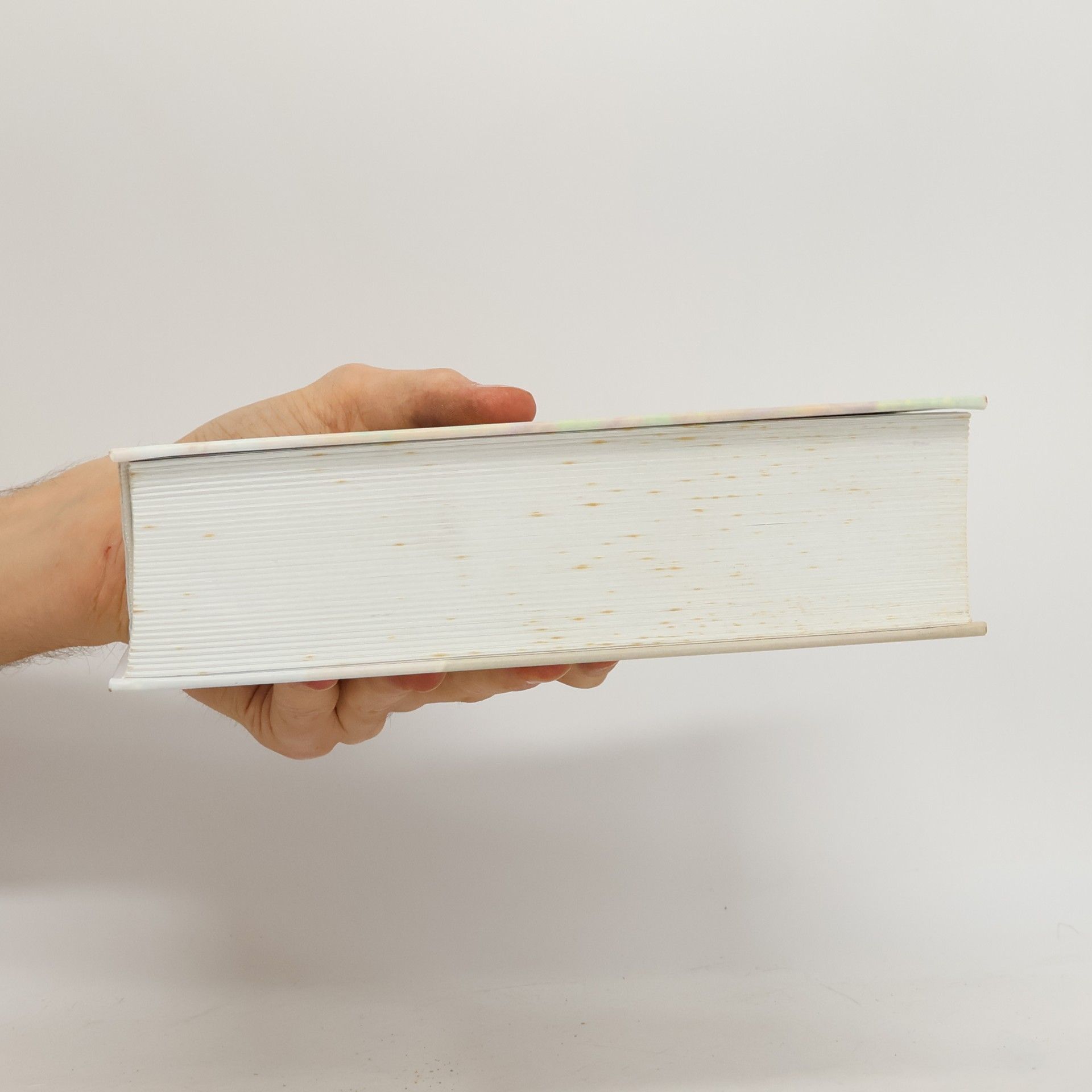 Jiří Holý Česká literatura od počátků k dnešku
