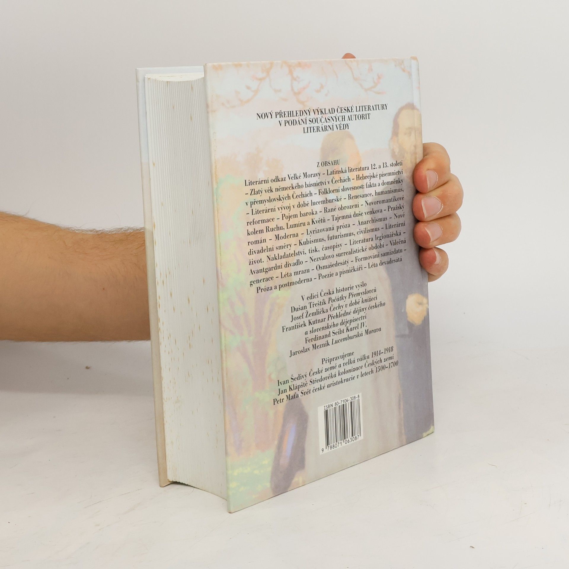 Jiří Holý Česká literatura od počátků k dnešku