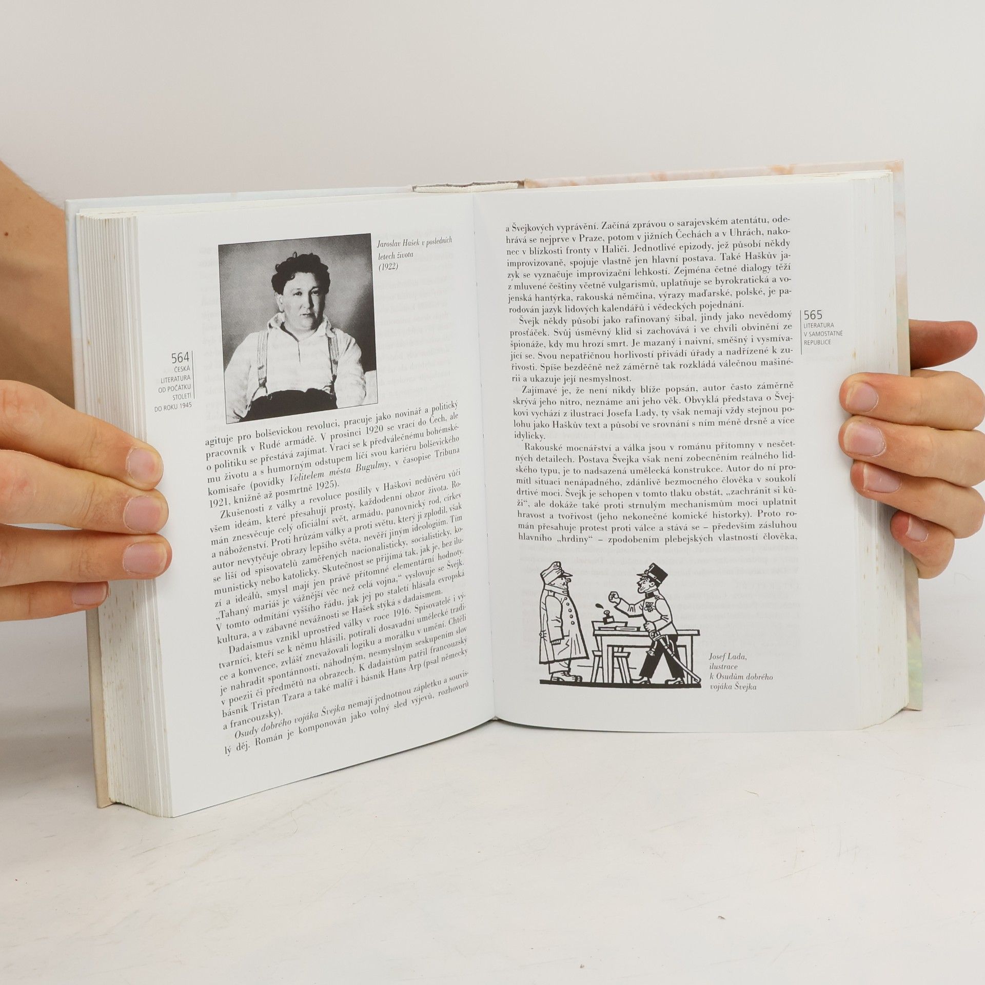 Jiří Holý Česká literatura od počátků k dnešku