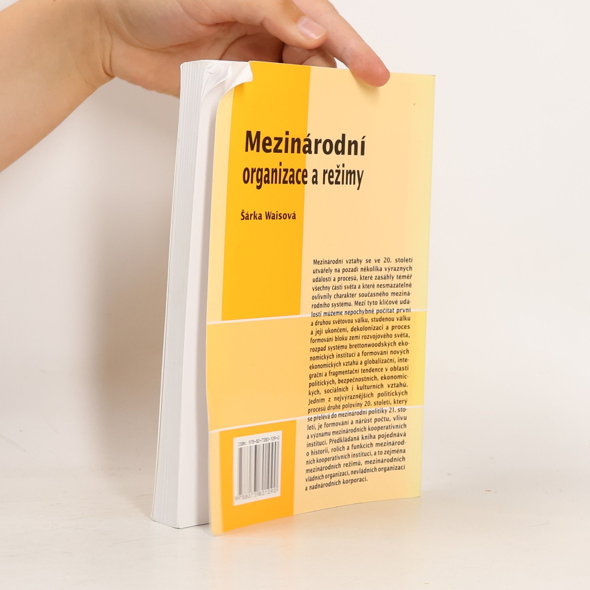 Šárka Waisová Mezinárodní organizace a režimy