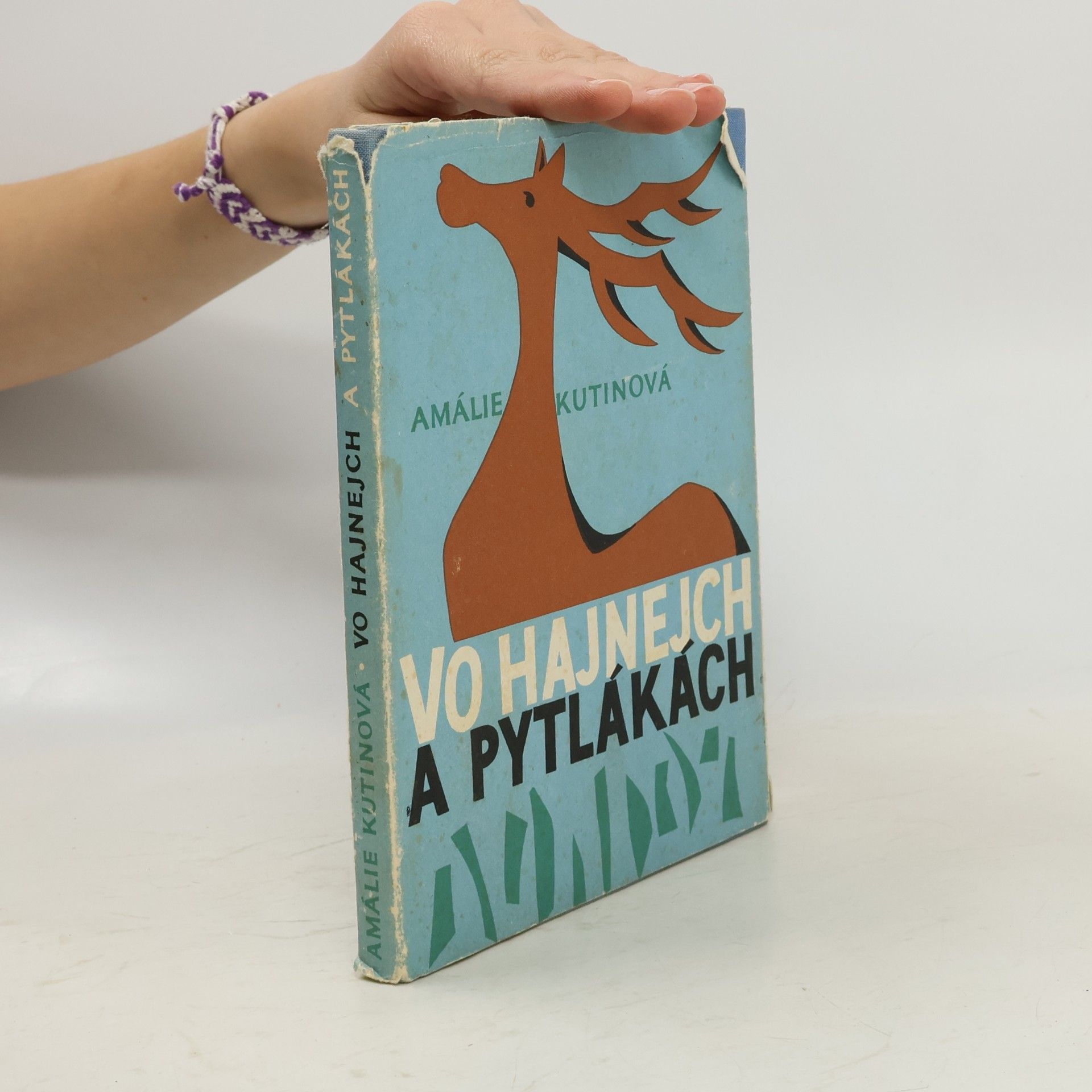 Vo hajnejch a pytlákách