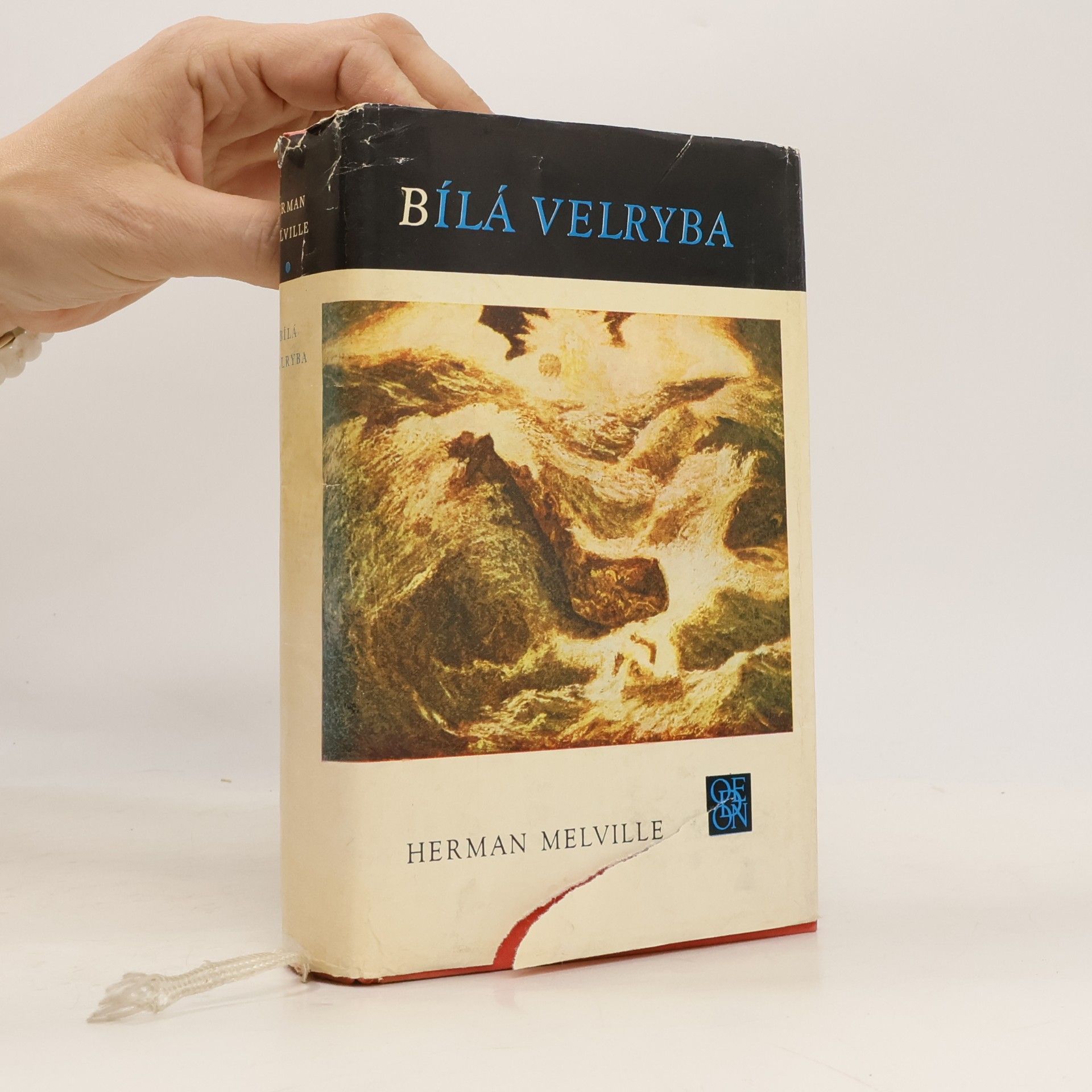 Herman Melville Bílá velryba