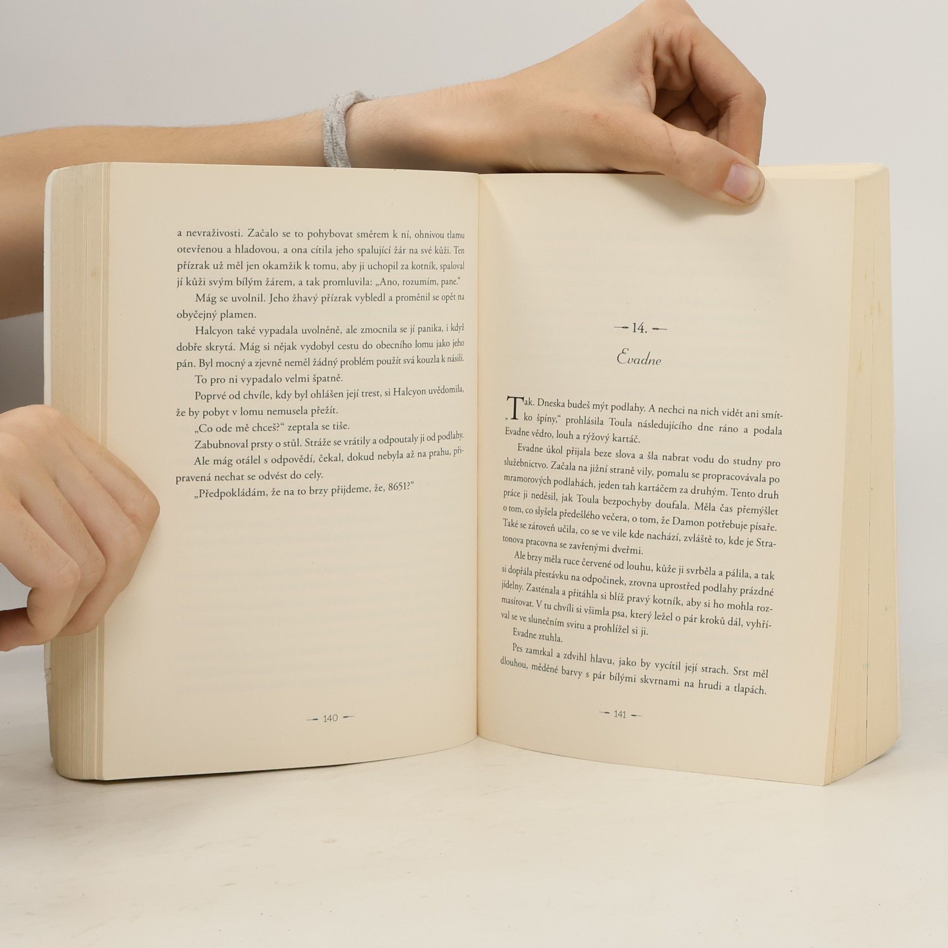 Rebecca J. Ross Sestry ve zbrani a písni