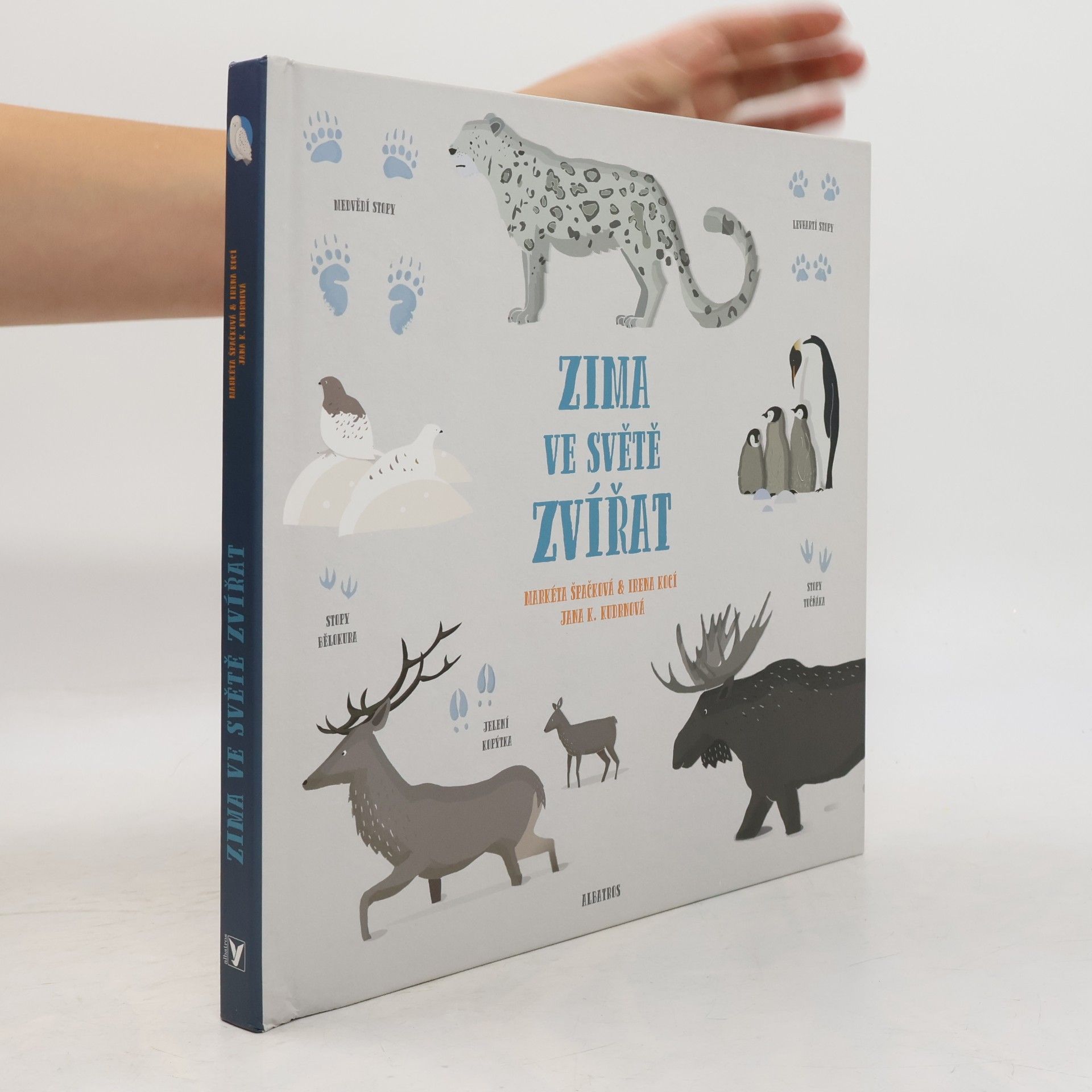 Zima ve světě zvířat