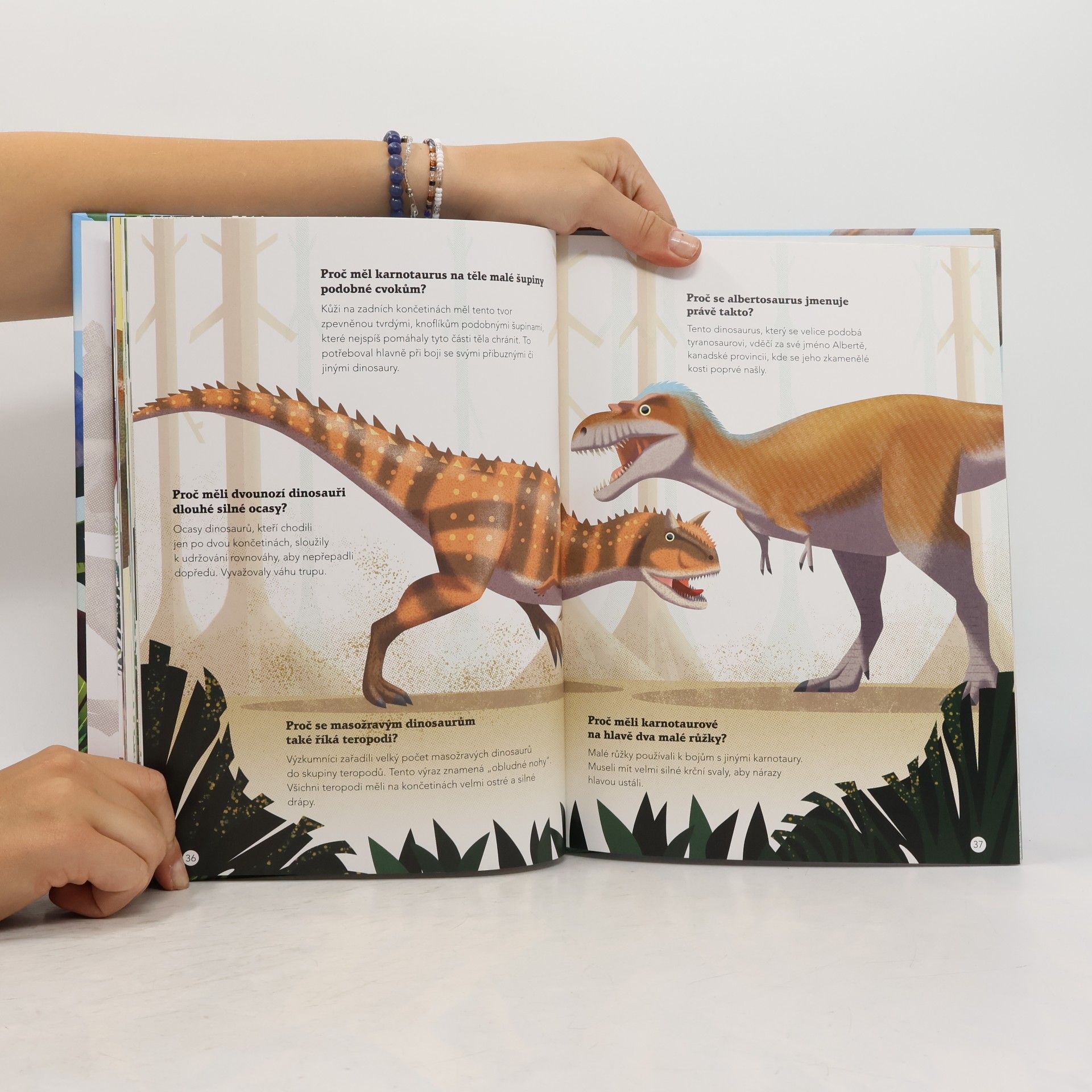 Cristina M. Banfi 200 úžasných faktů o dinosaurech