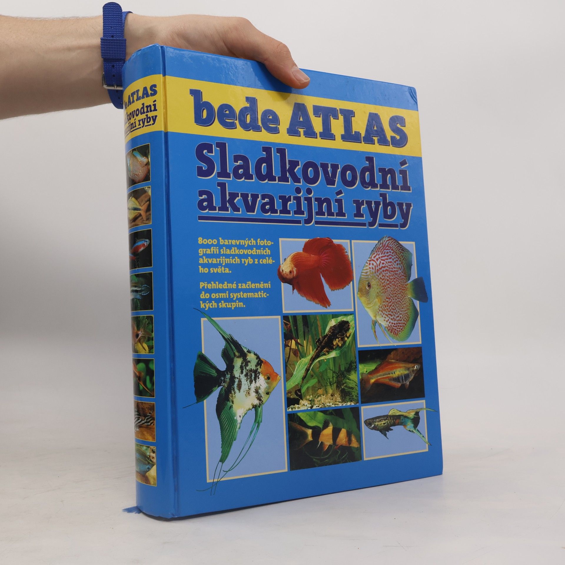 Jürgen Schmidt-Radefeldt Bede Atlas - Sladkovodní akvarijní ryby