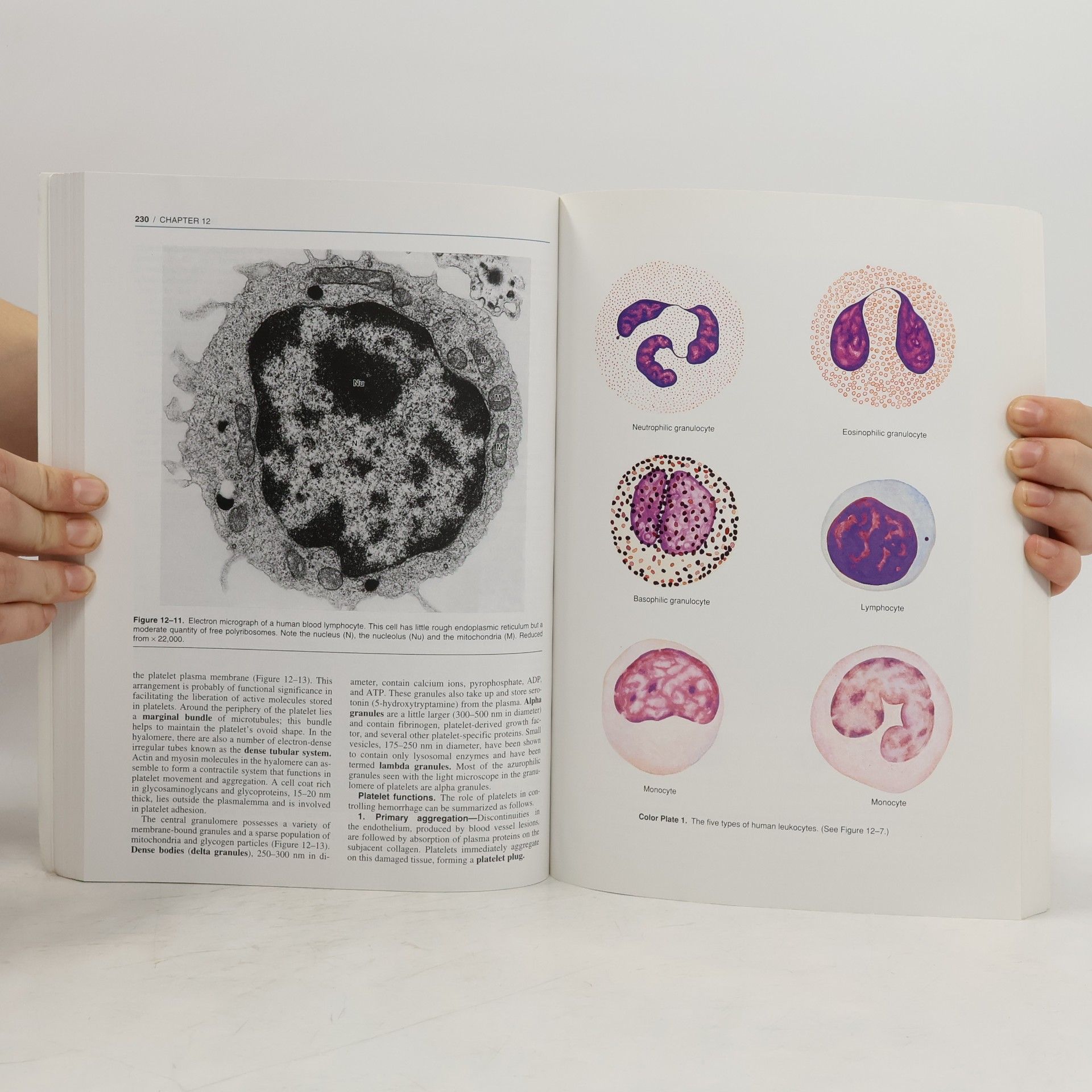 Robert O. Kelley Basic Histology