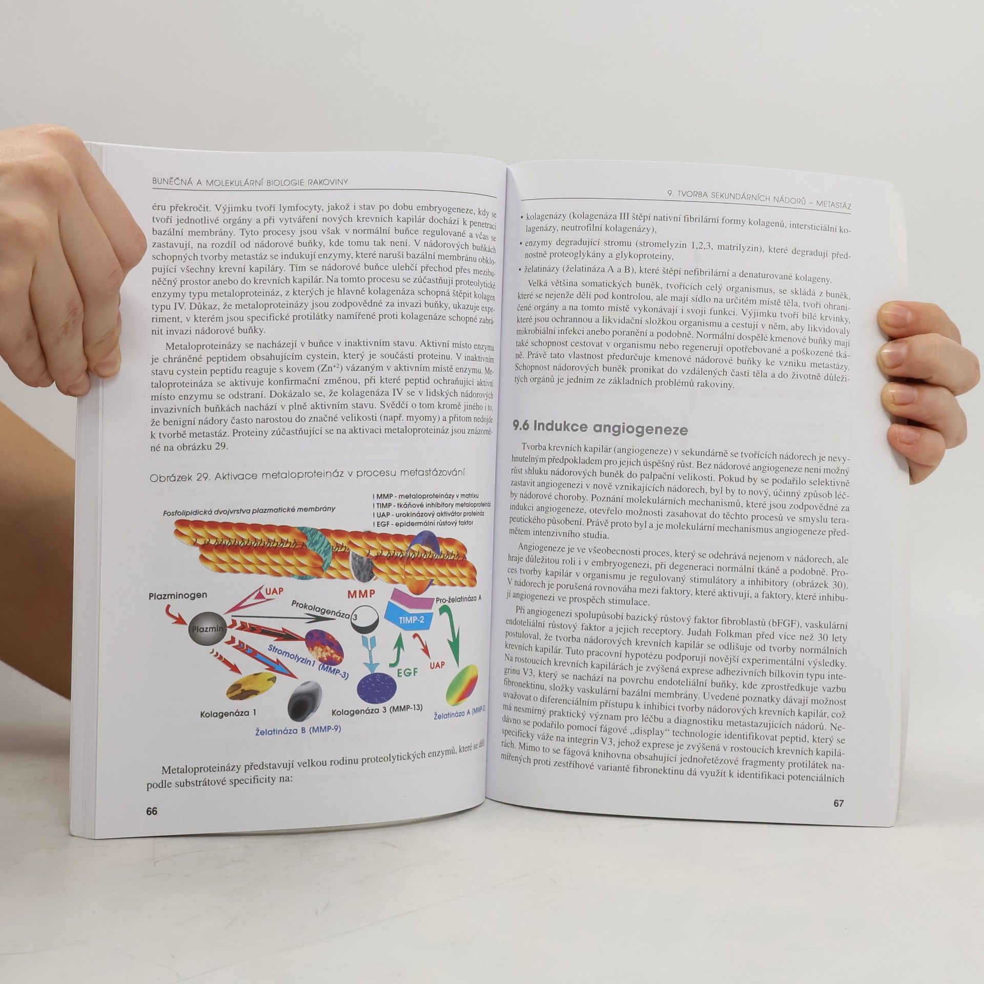 Čestmír Altaner Buněčná a molekulární biologie rakoviny