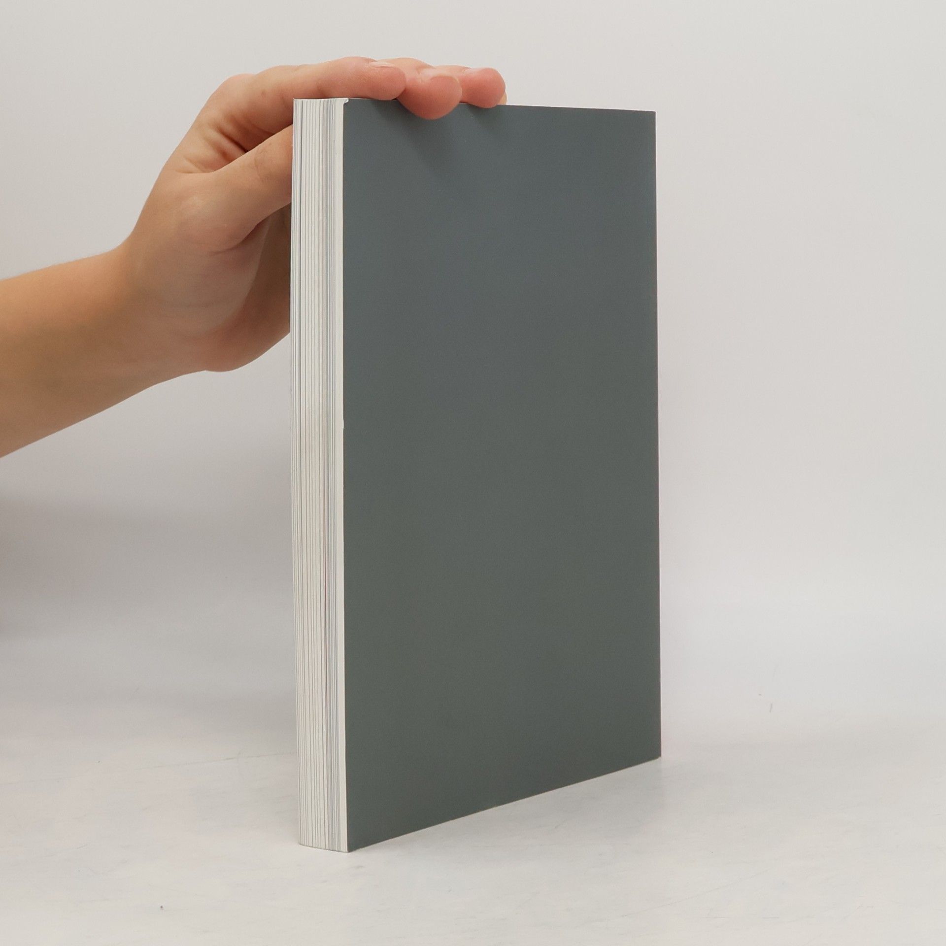 Vít Vlnas Baroko v Čechách
