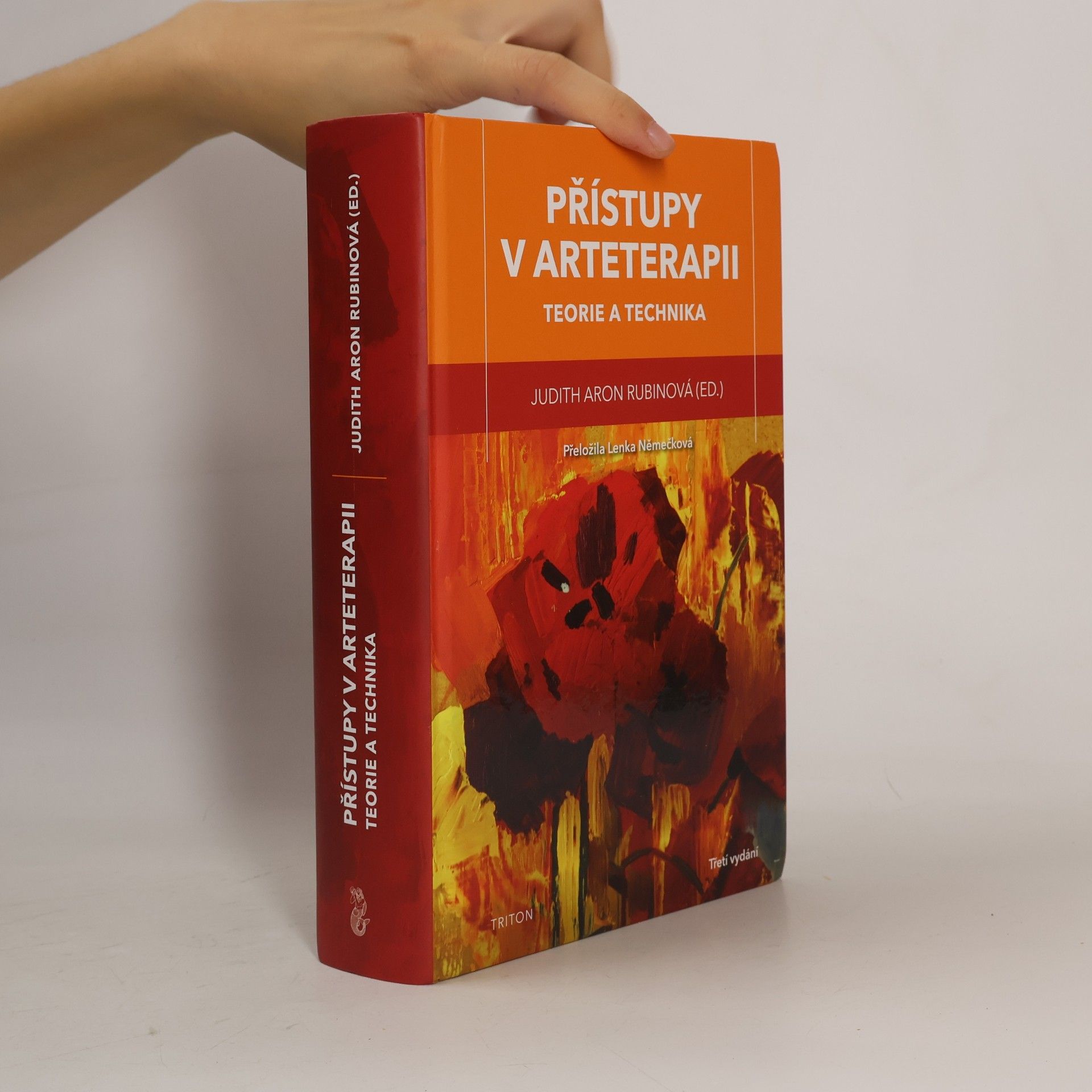 Judith Aron Rubin Přístupy v arteterapii
