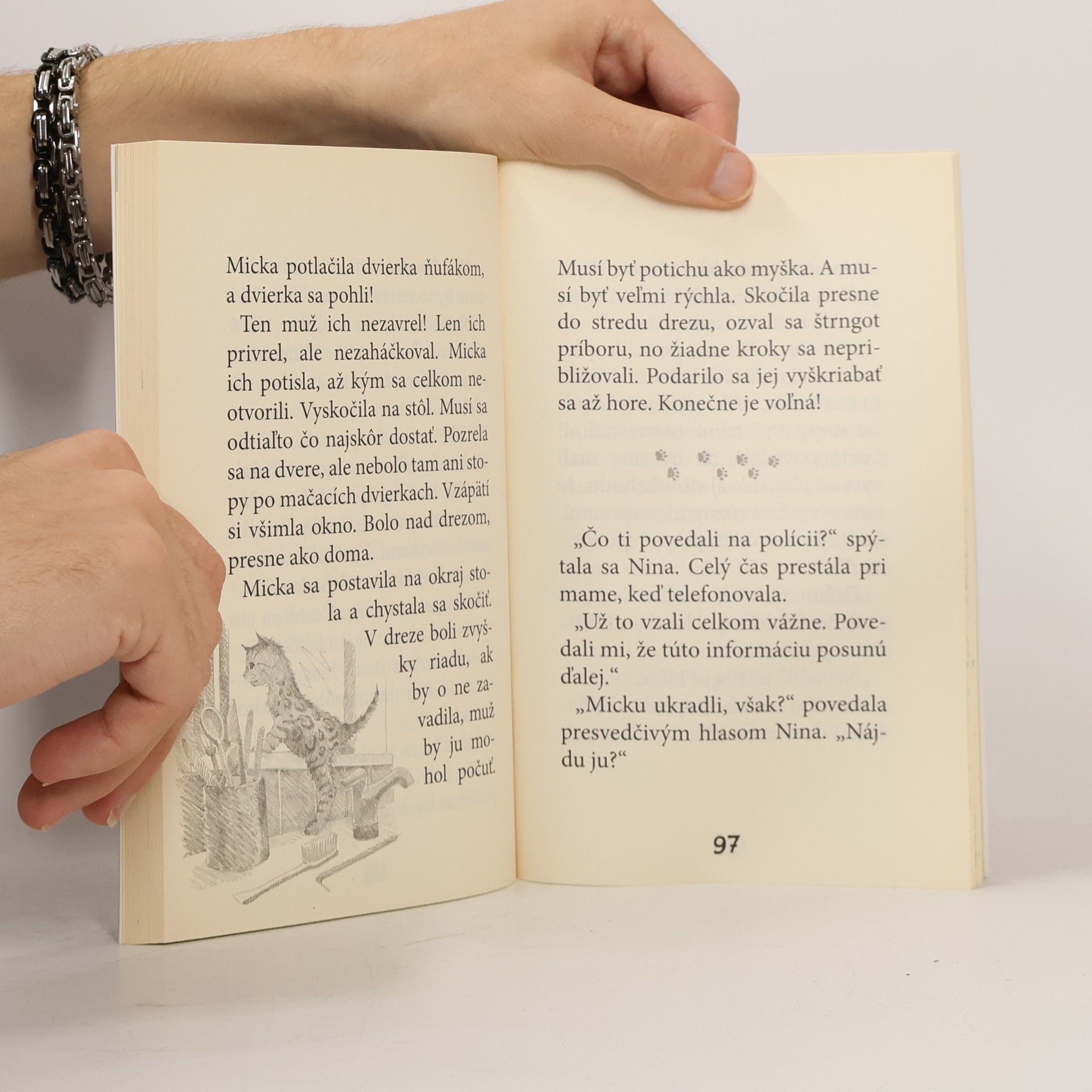 Holly Webb Micka, unesené mačiatko