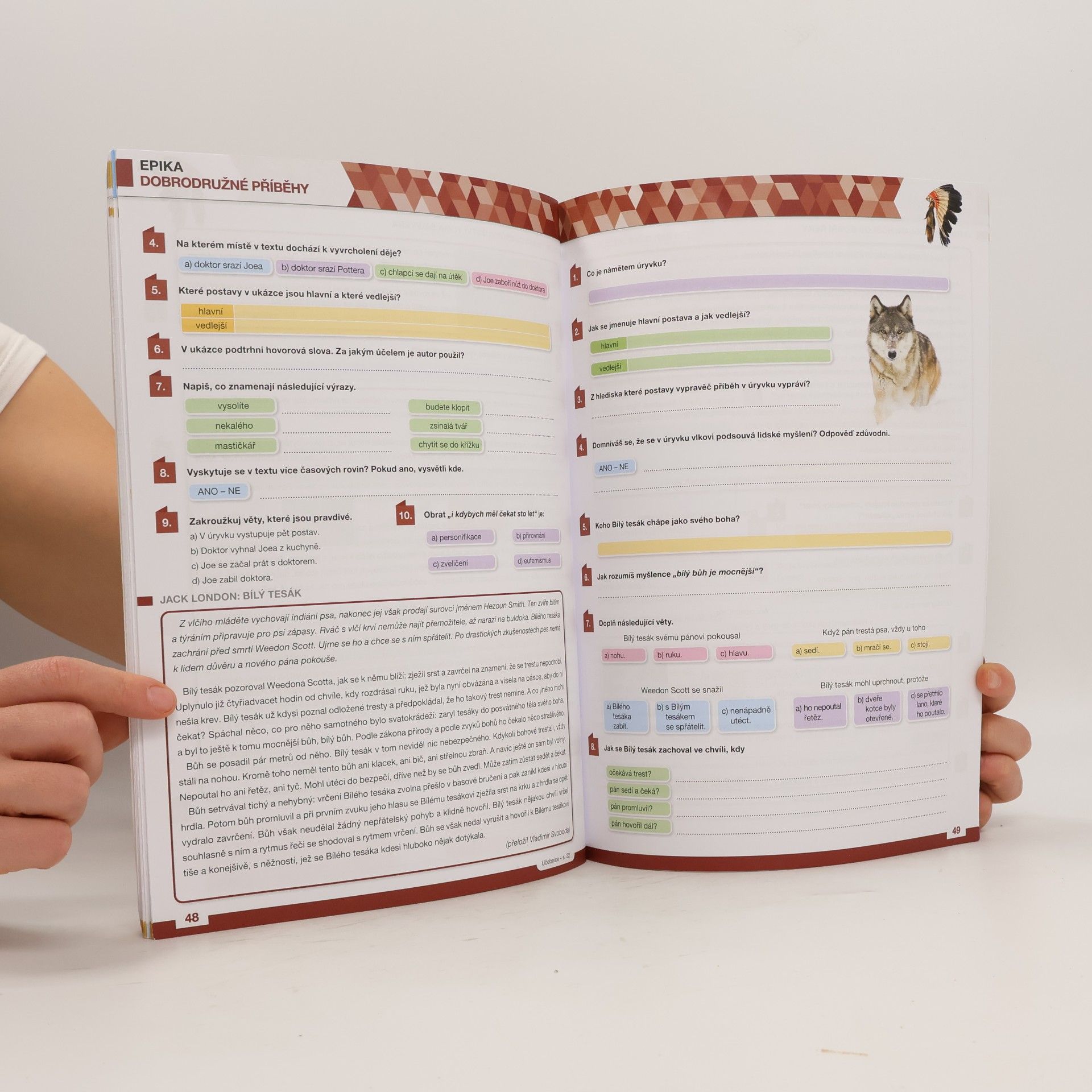 Kolektiv autorů Hravá literatura. Pracovní sešit pro 6. ročník ZŠ a víceletá gymnázia