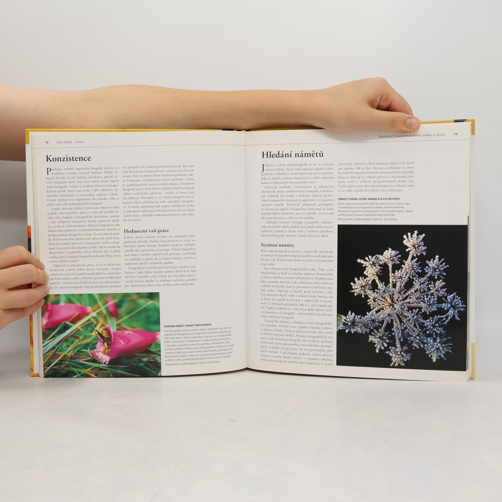 Robert Thompson Naučte se fotografovat dobře makro a detail