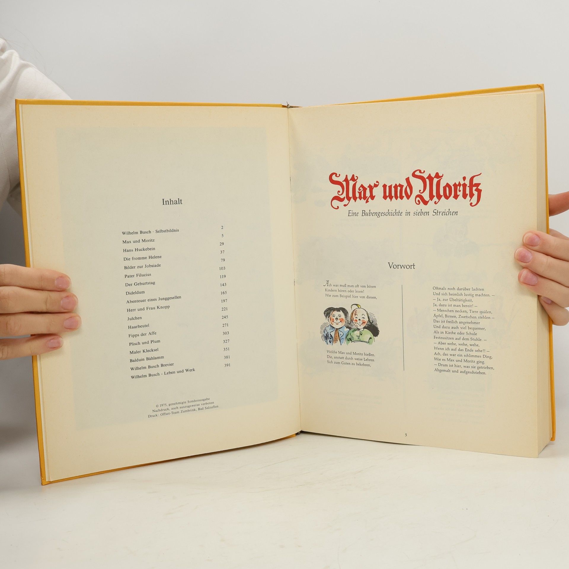 Autorenkollektiv Wilhelm Busch Album