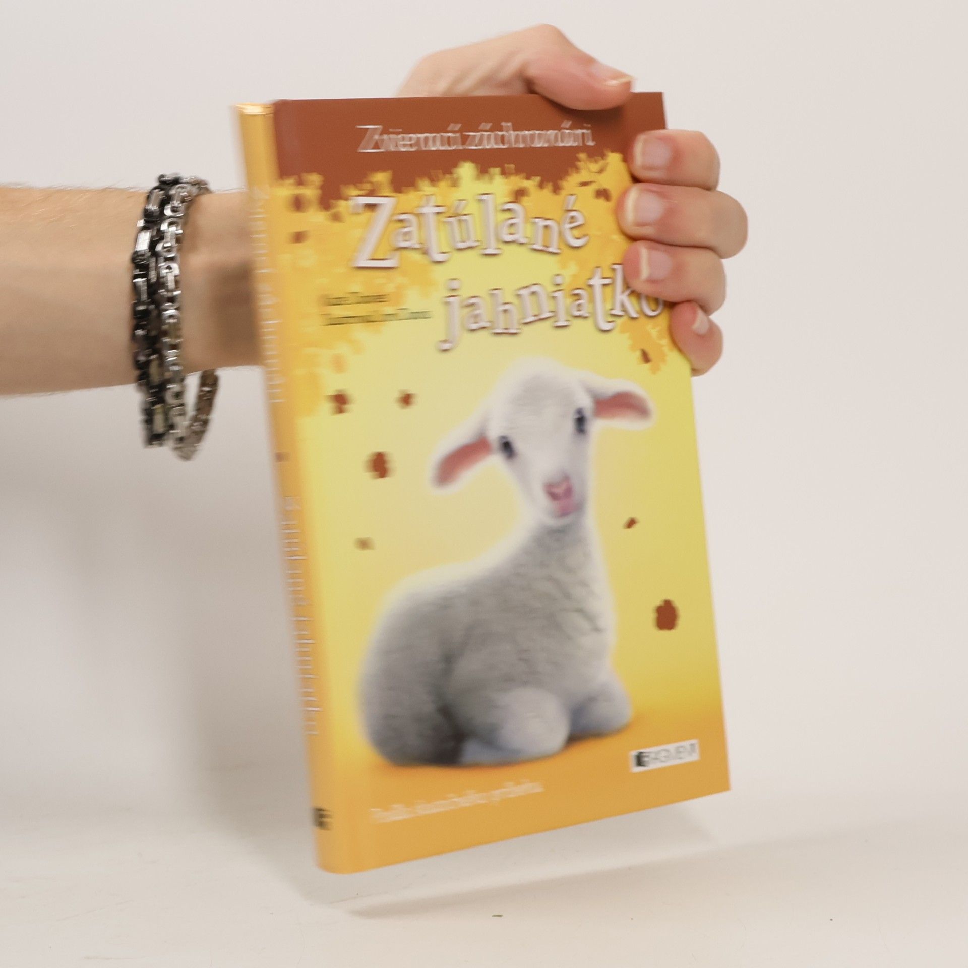 Zatúlané jahniatko