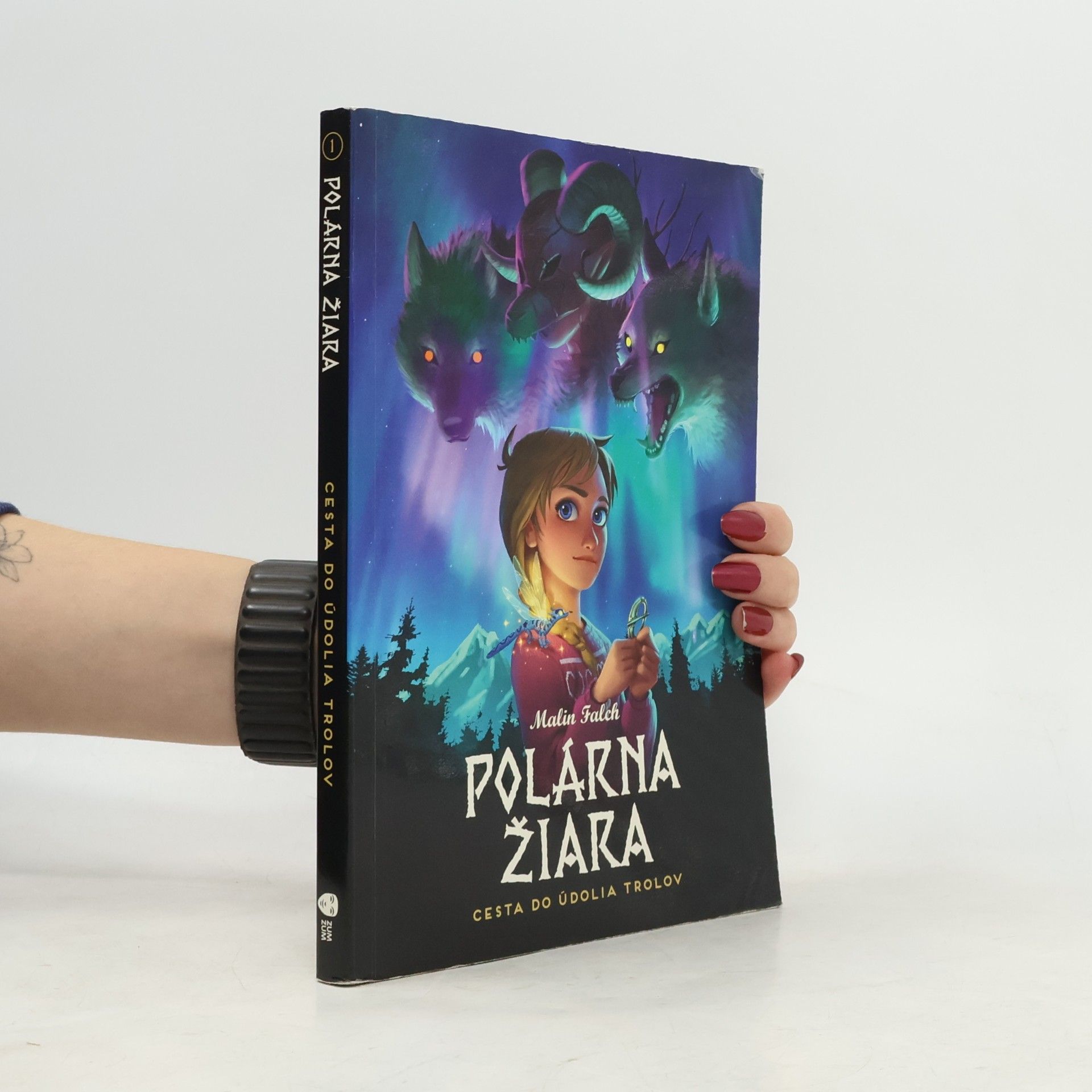Malin Falch Polárna žiara. Cesta do údolia trolov