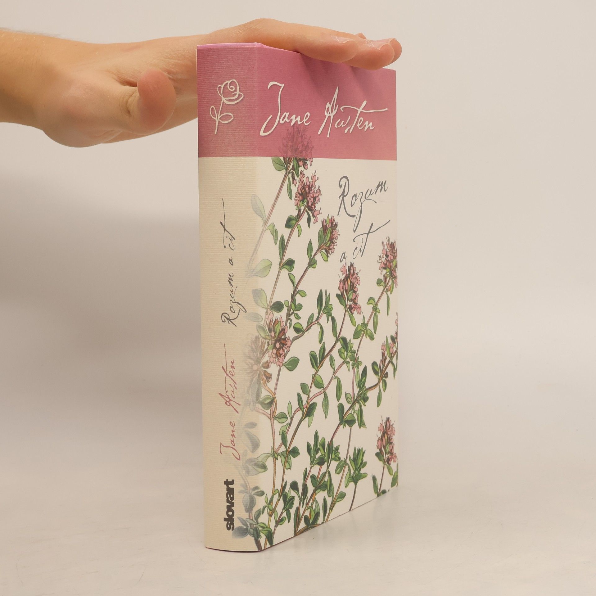 Jane Austen Rozum a cit