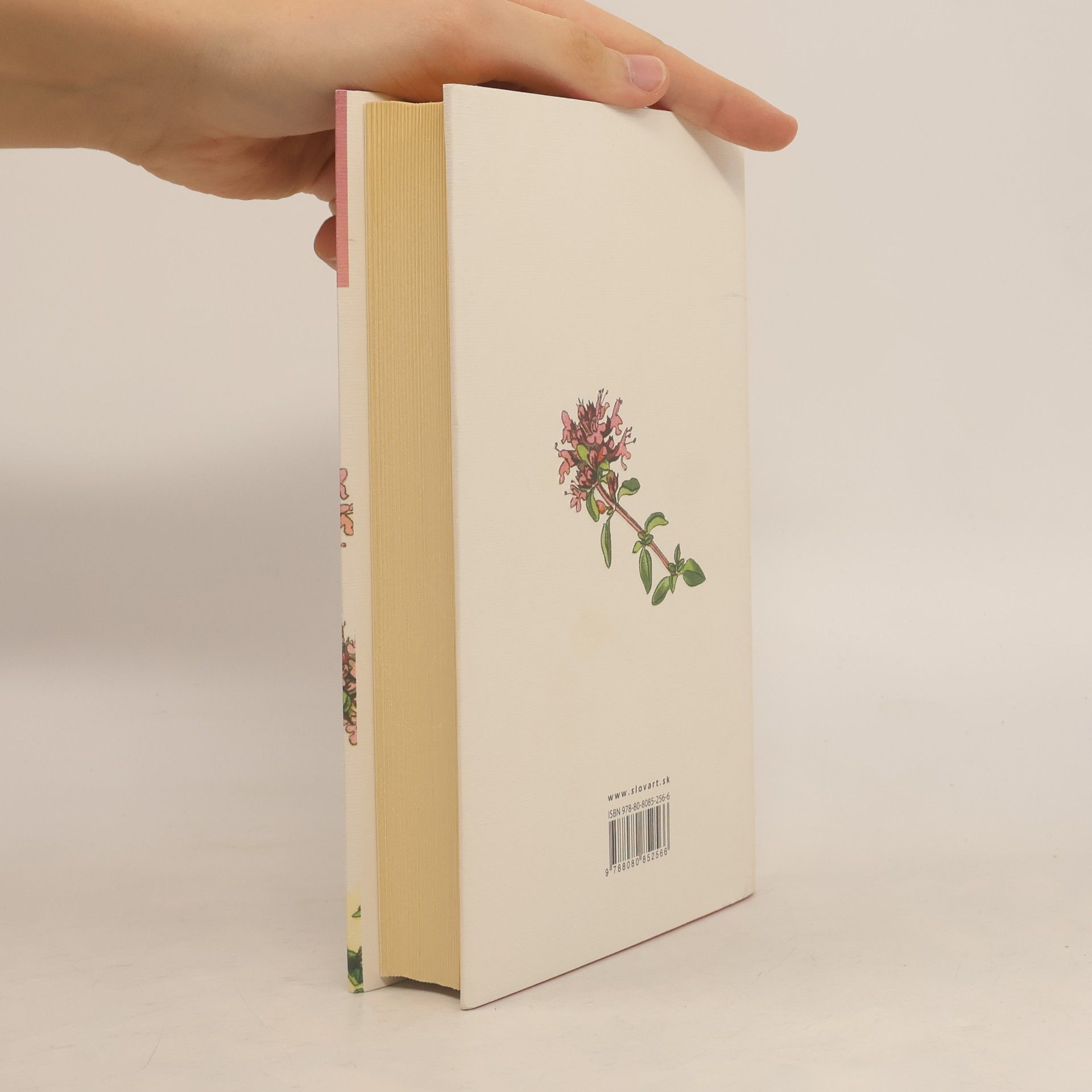Jane Austen Rozum a cit