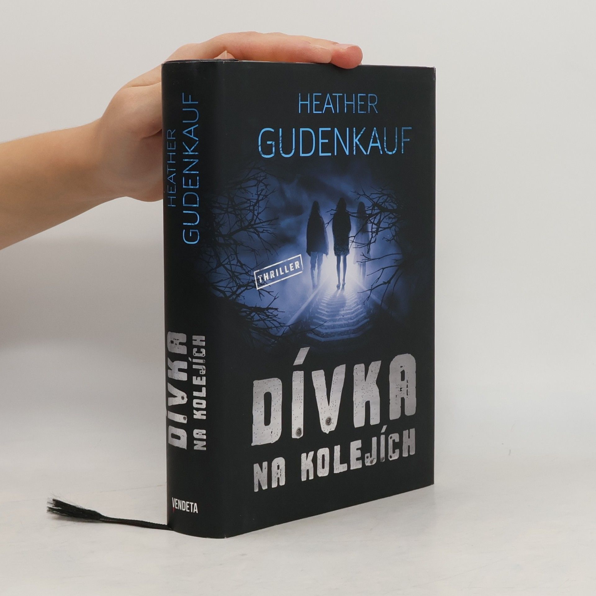 Heather Gudenkauf Dívka na kolejích