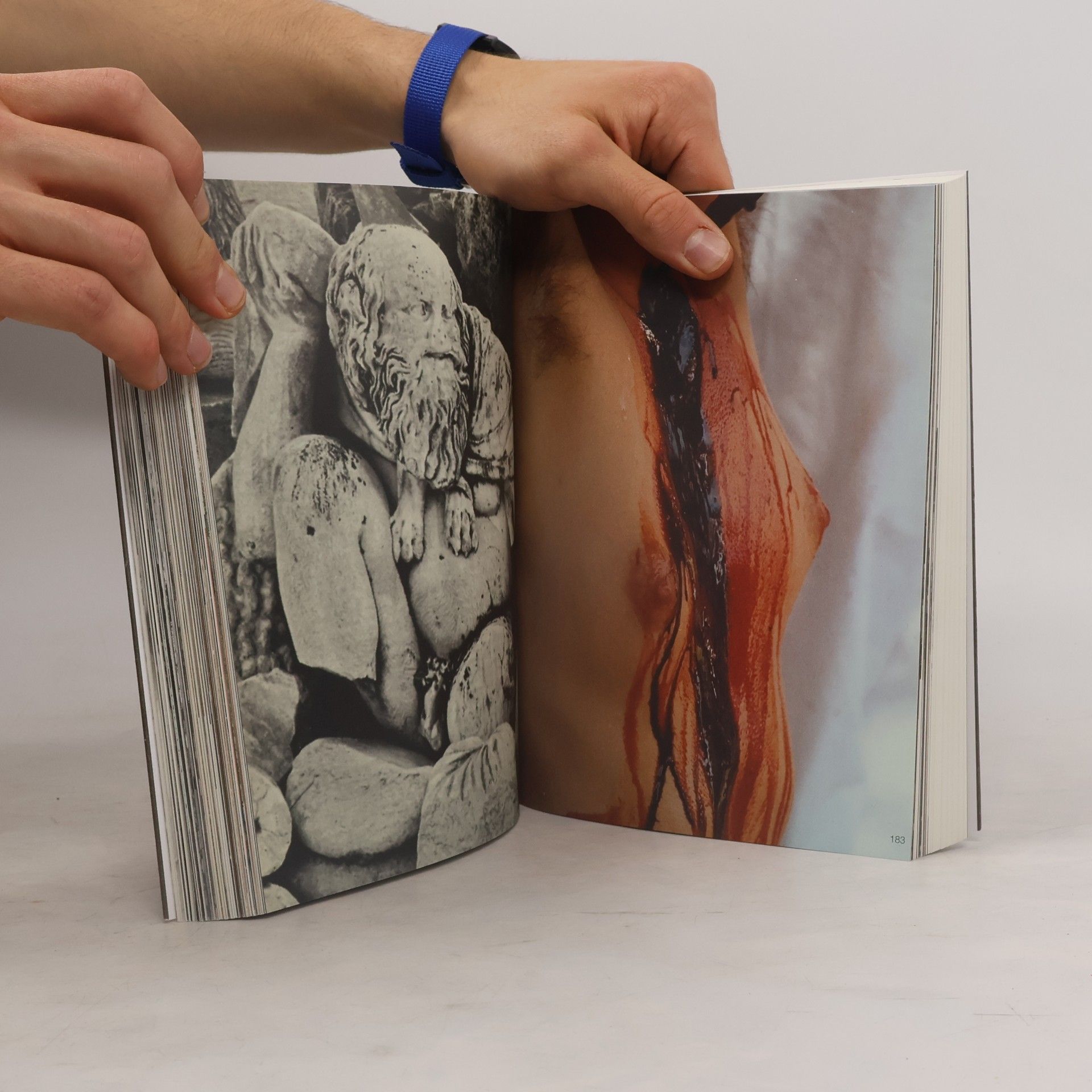 Reinhard Priessnitz Amor Psyche Aktion