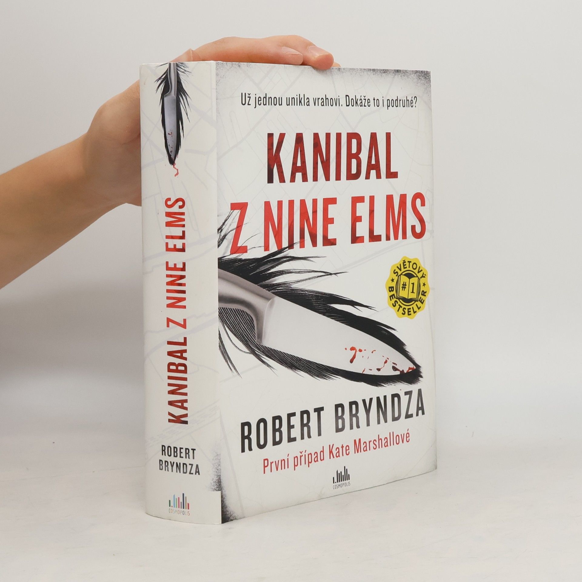 Robert Bryndza Kanibal z Nine Elms