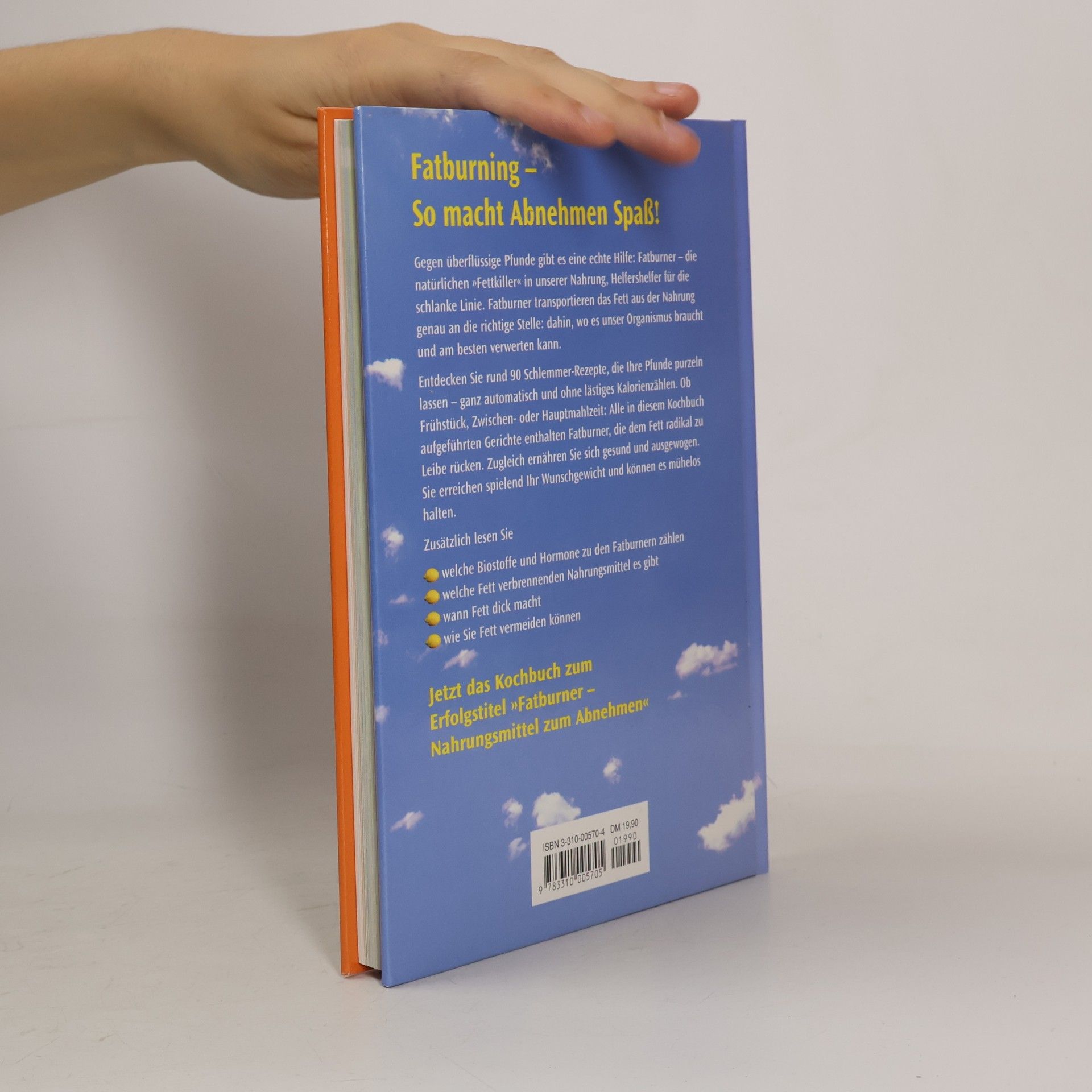 Jutta Lamy Fatburner - das Rezeptebuch