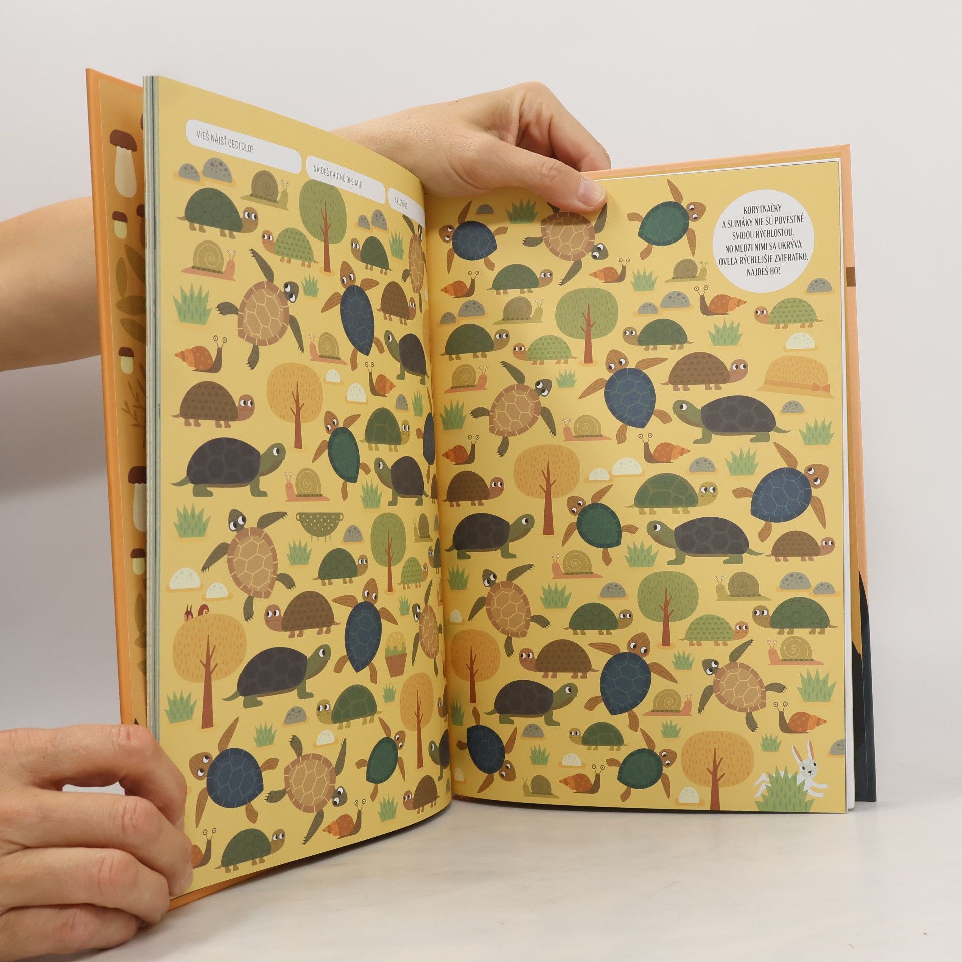 Various authors Nájdi ma! Lesné dobrodružstvá s vlkom Bernardom