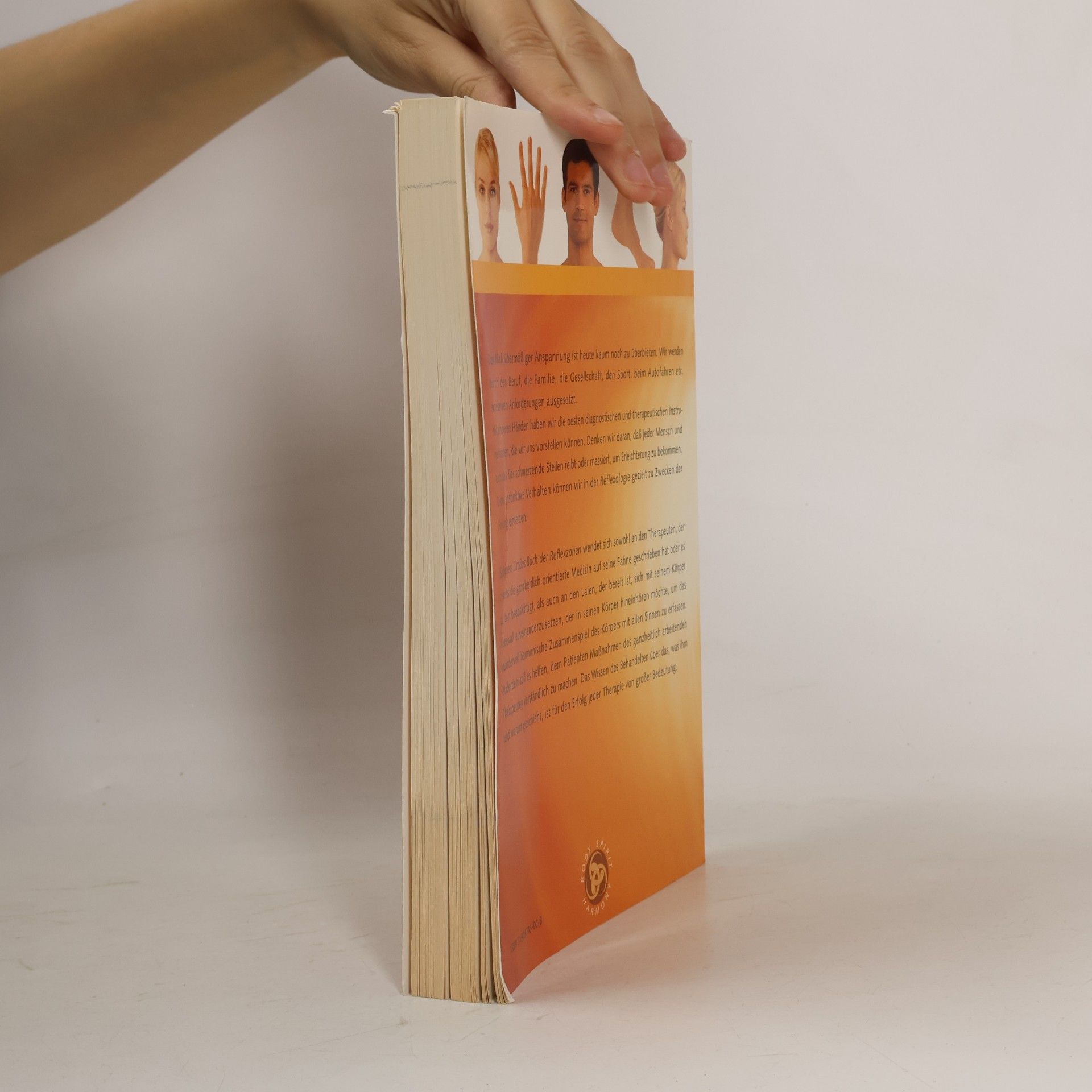 Rolf Stühmer Das große Buch der Reflexzonen: Nichts existiert für sich alleine. Eine Zusammenfassung reflektorischer Körperzonen