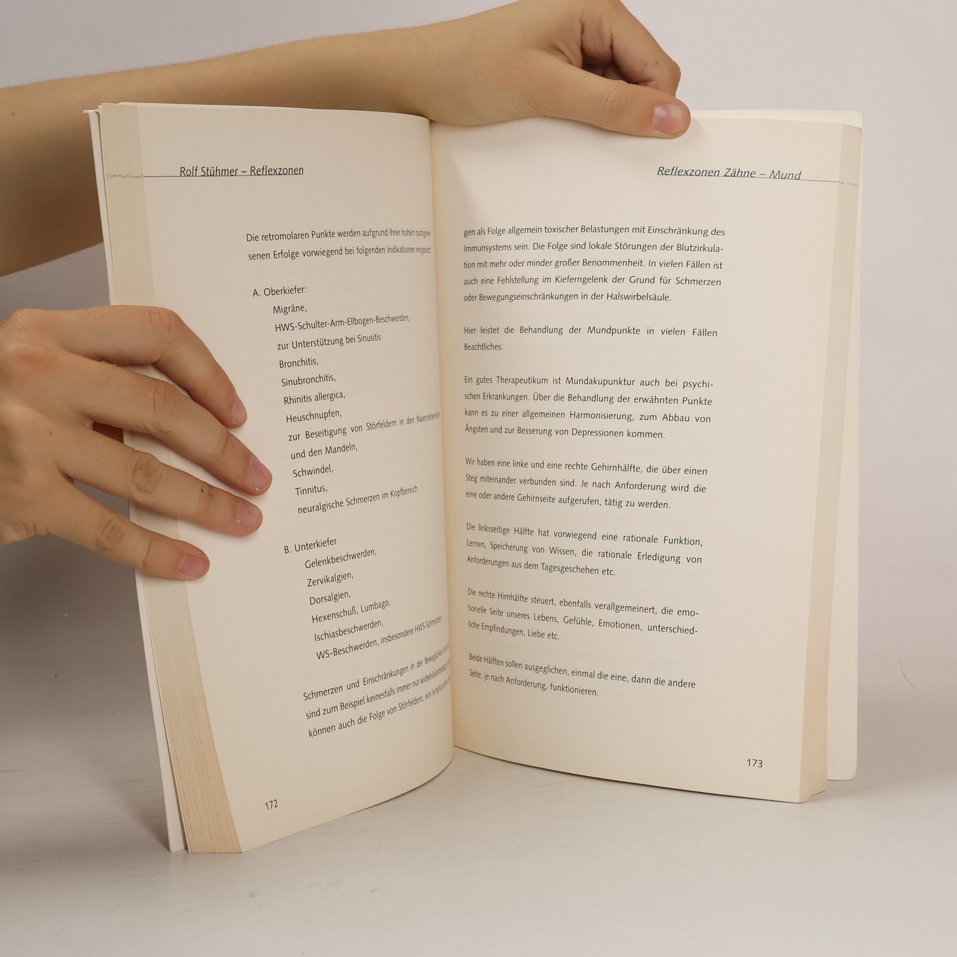 Rolf Stühmer Das große Buch der Reflexzonen: Nichts existiert für sich alleine. Eine Zusammenfassung reflektorischer Körperzonen