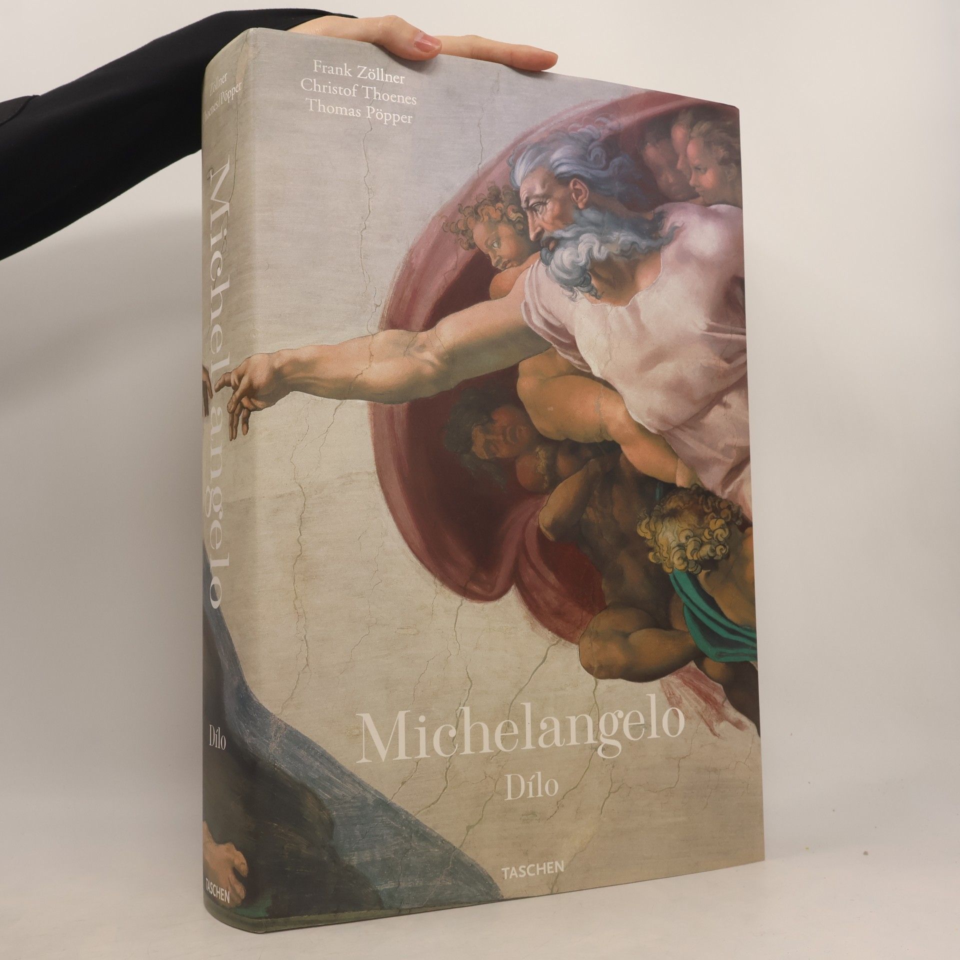 Frank Zöllner Michelangelo