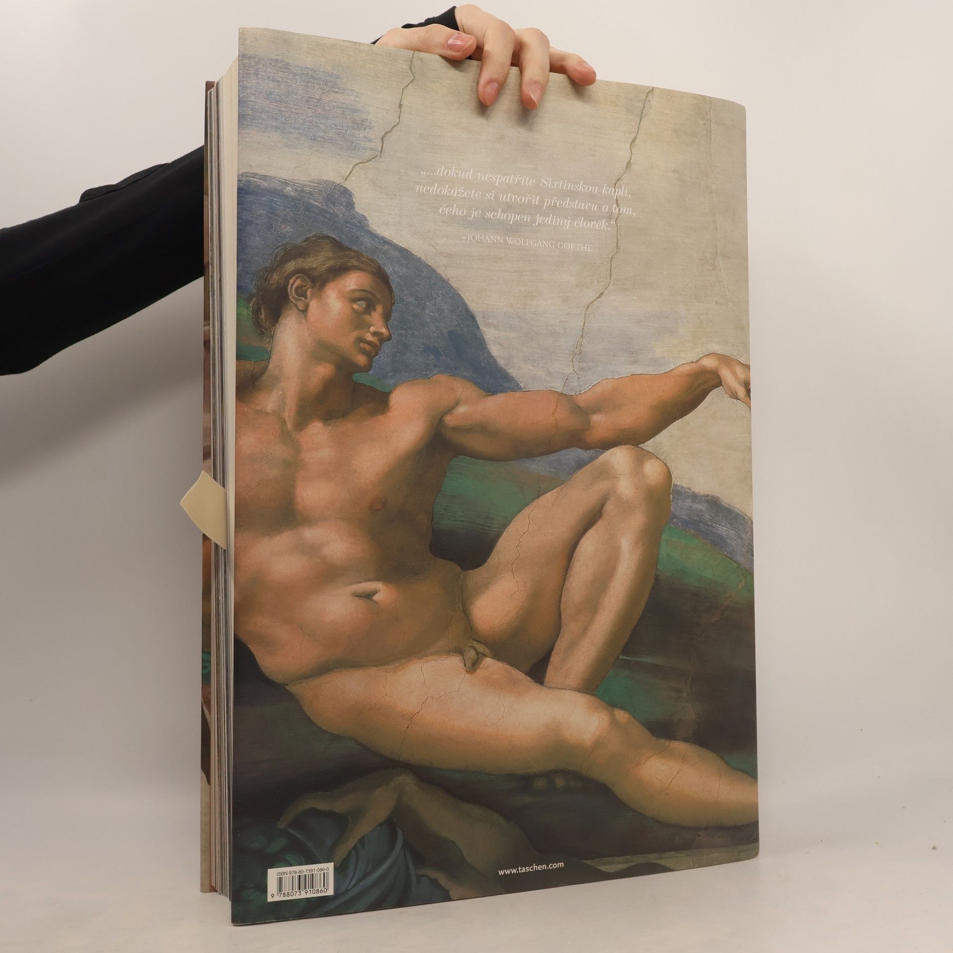 Frank Zöllner Michelangelo