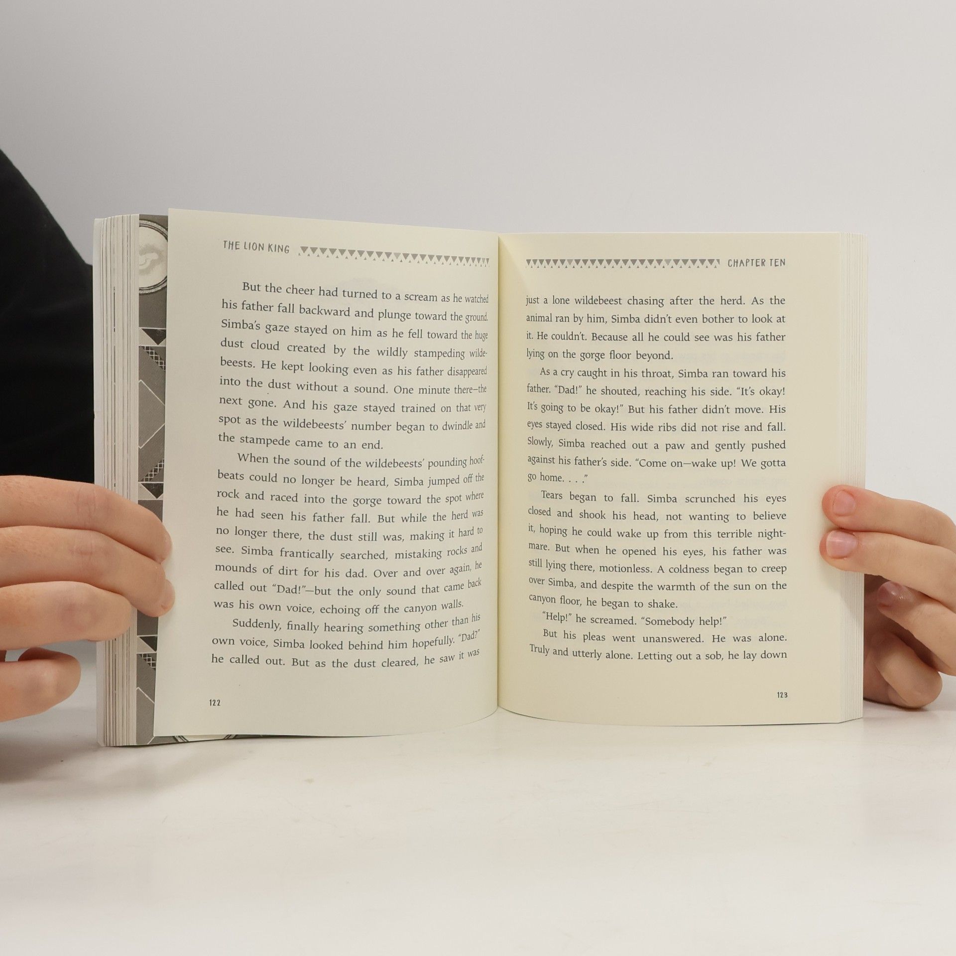 Elizabeth Rudnick The Lion King: The Novelization