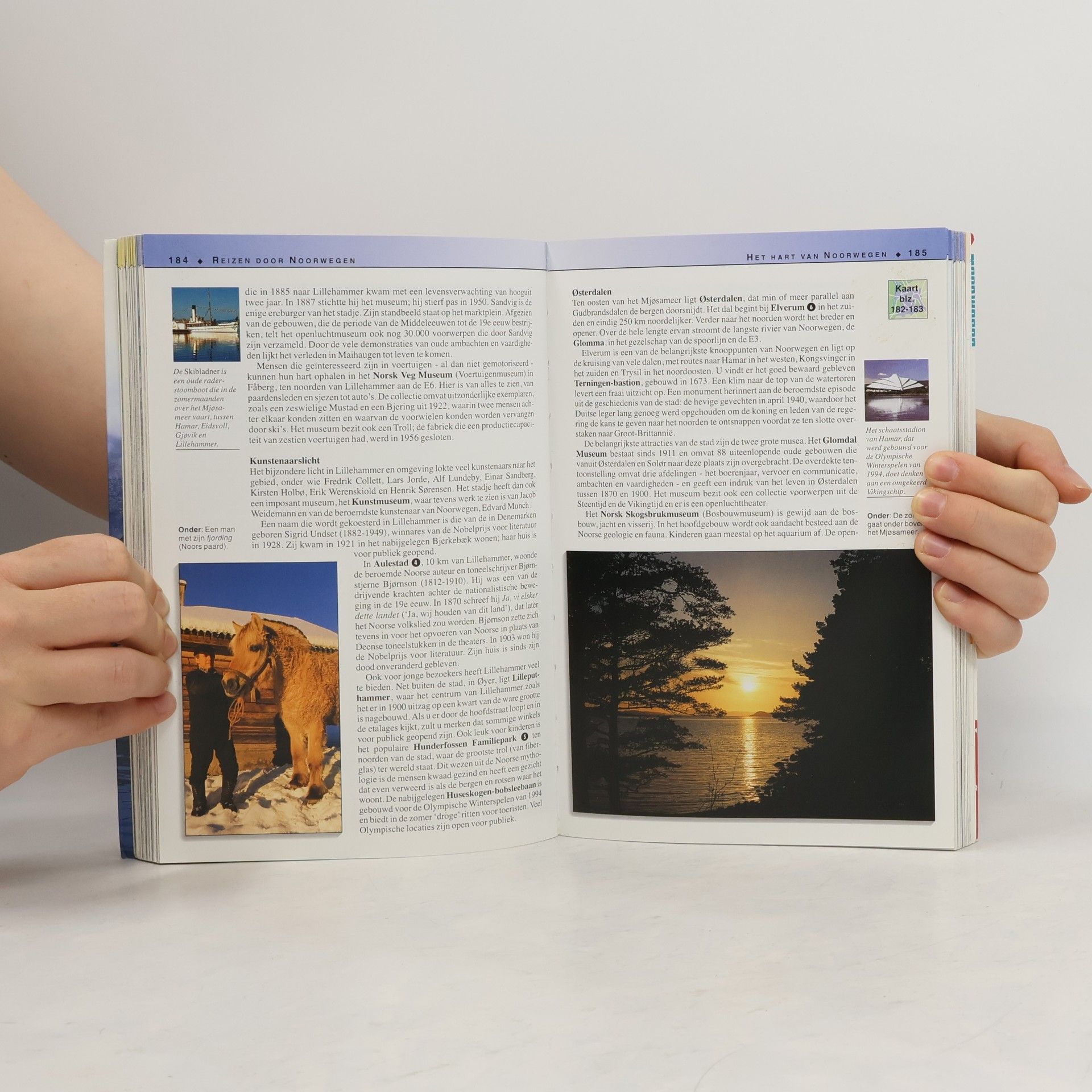Noorwegen / druk 3 (Insight Guides)
