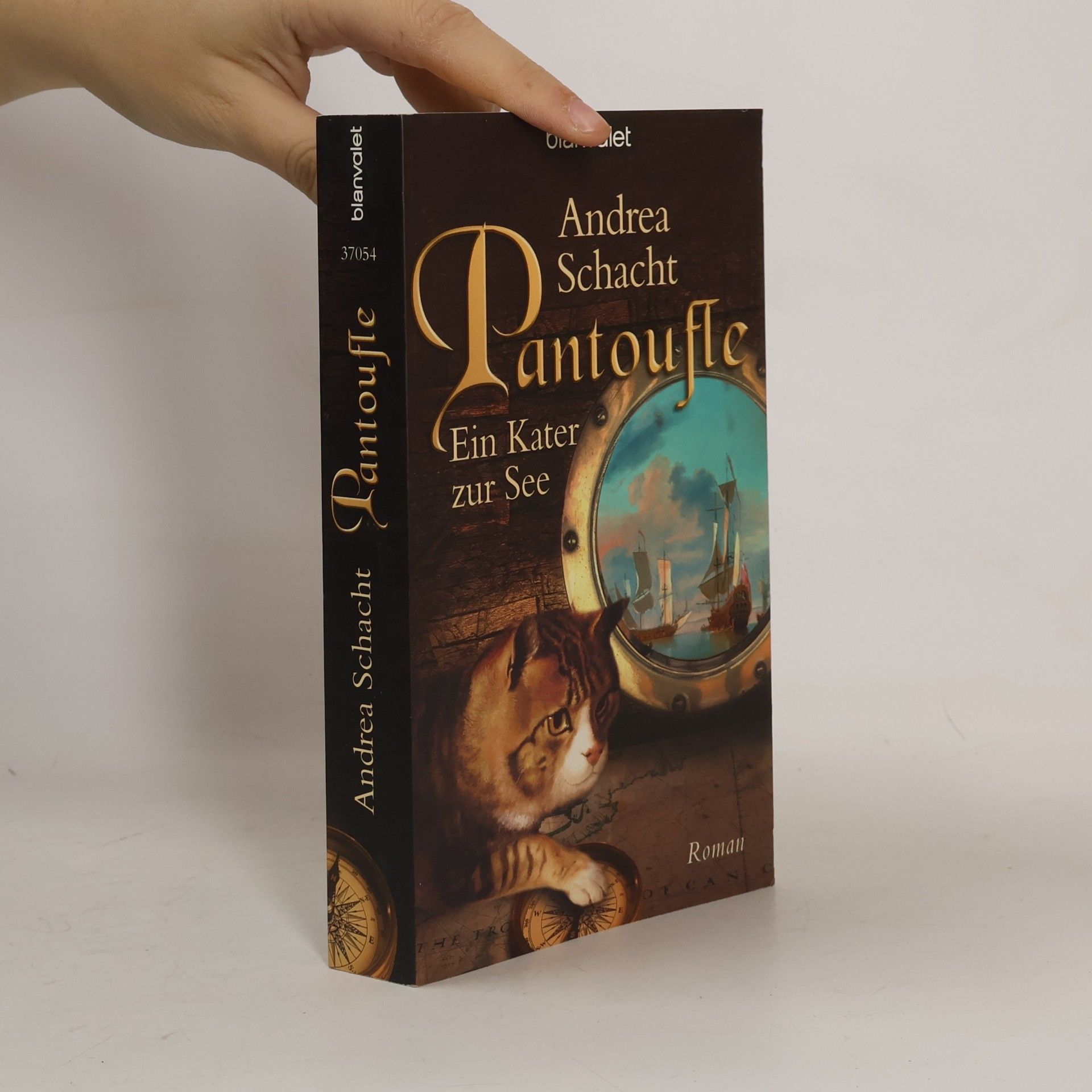 Andrea Schacht Pantoufle - Ein Kater zur See. Roman