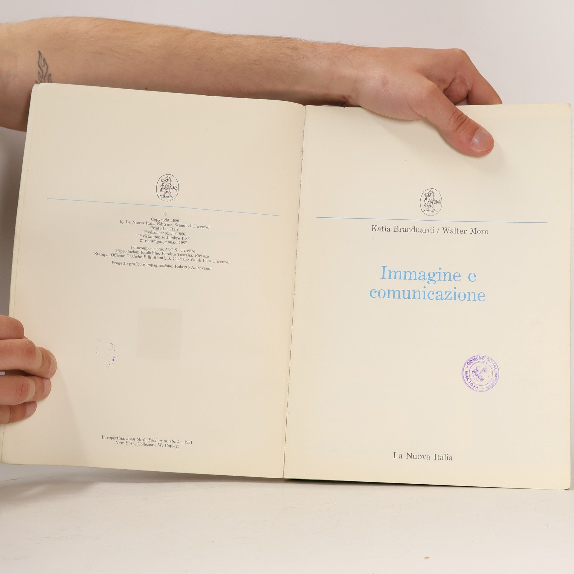 Branduardi Immagine e comunicazione