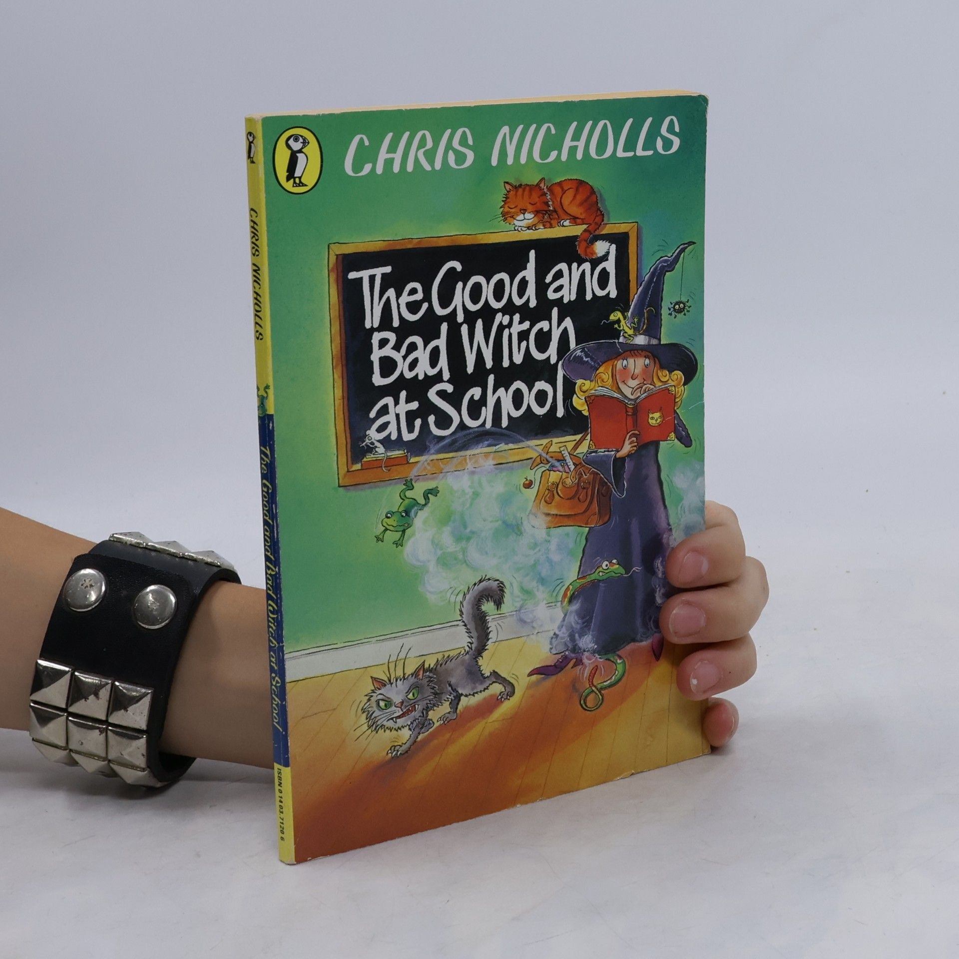 Christopher Nicholls The Good and Bad Witch at School