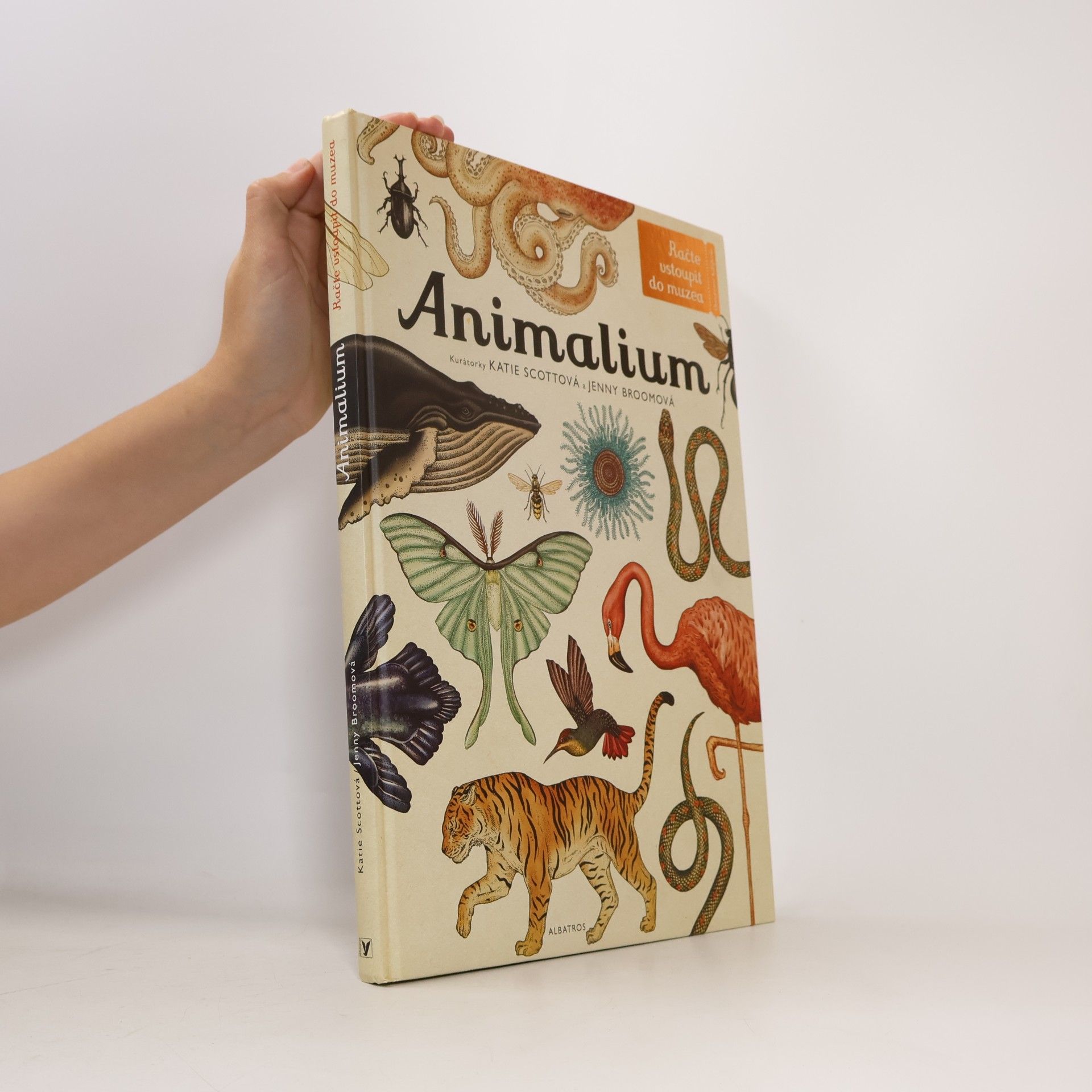 Animalium