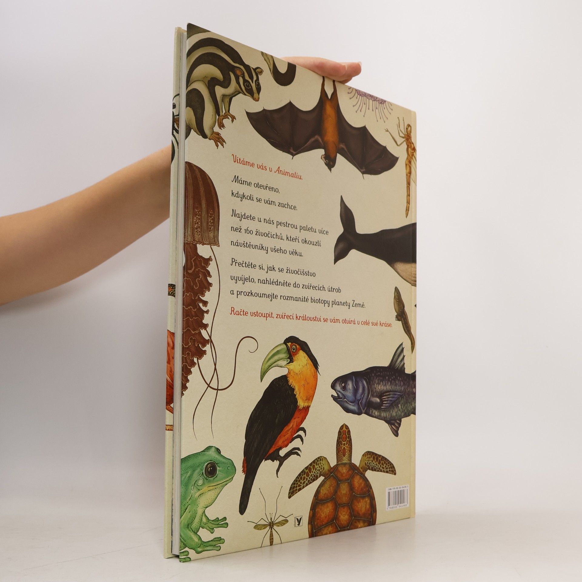 Katie Scott Animalium