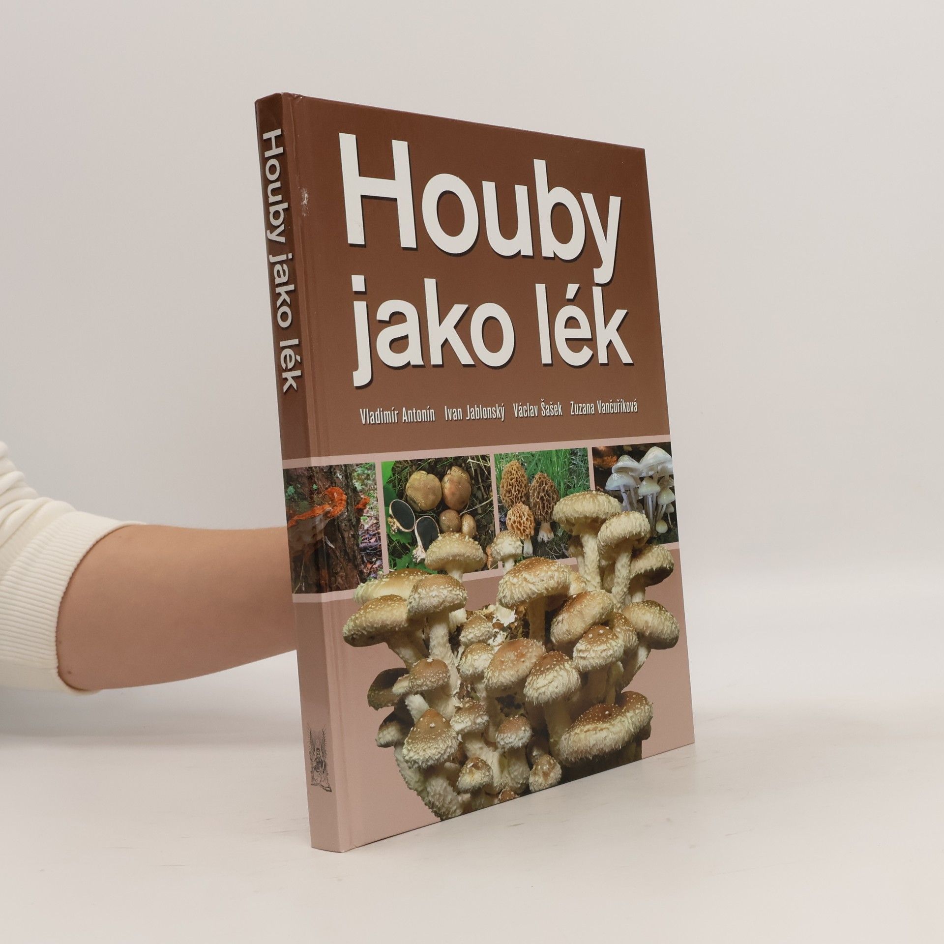 Houby jako lék