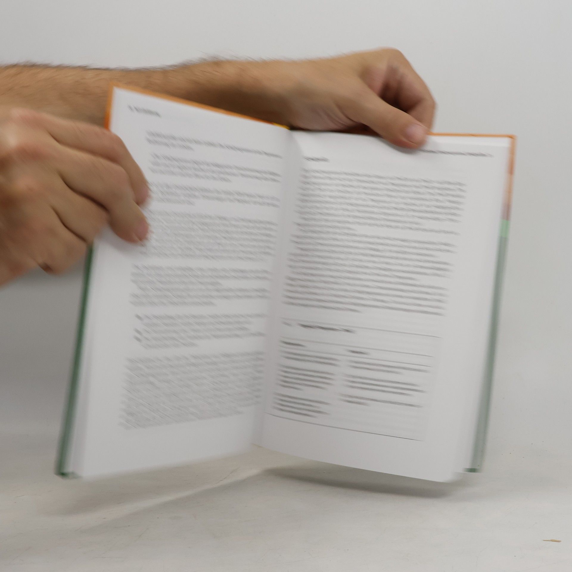 Elmar Philipp Basis-Bibliothek Unterricht: Schulprogramme und Leitbilder entwickeln