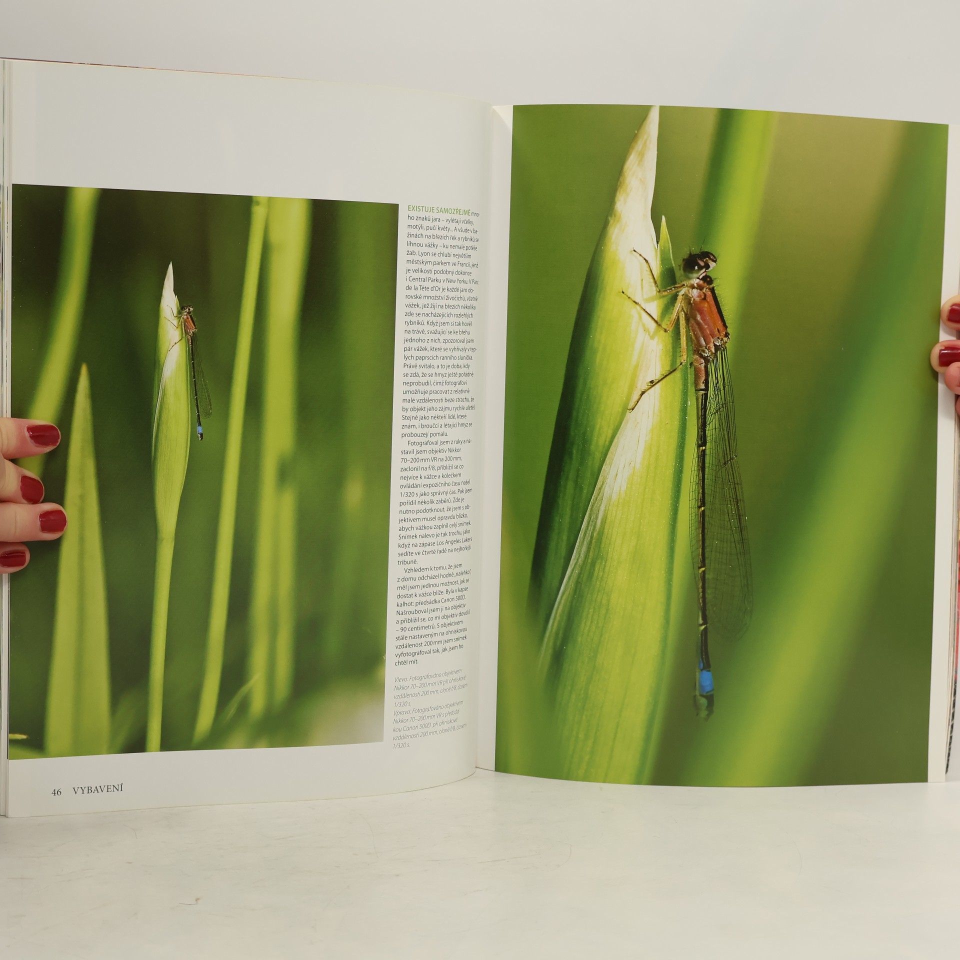 Bryan Peterson Naučte se fotografovat detail kreativně