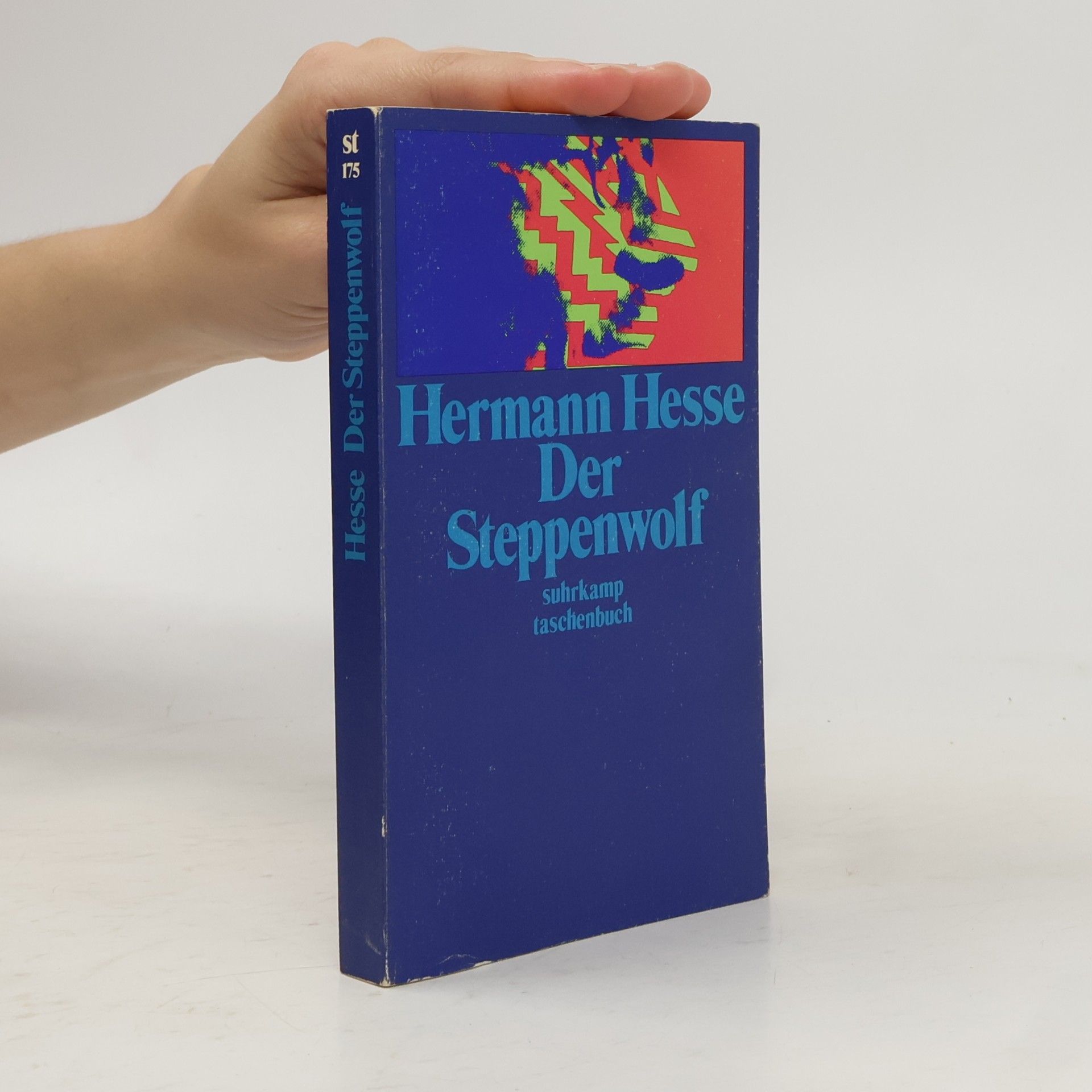 Hermann Hesse Der Steppenwolf