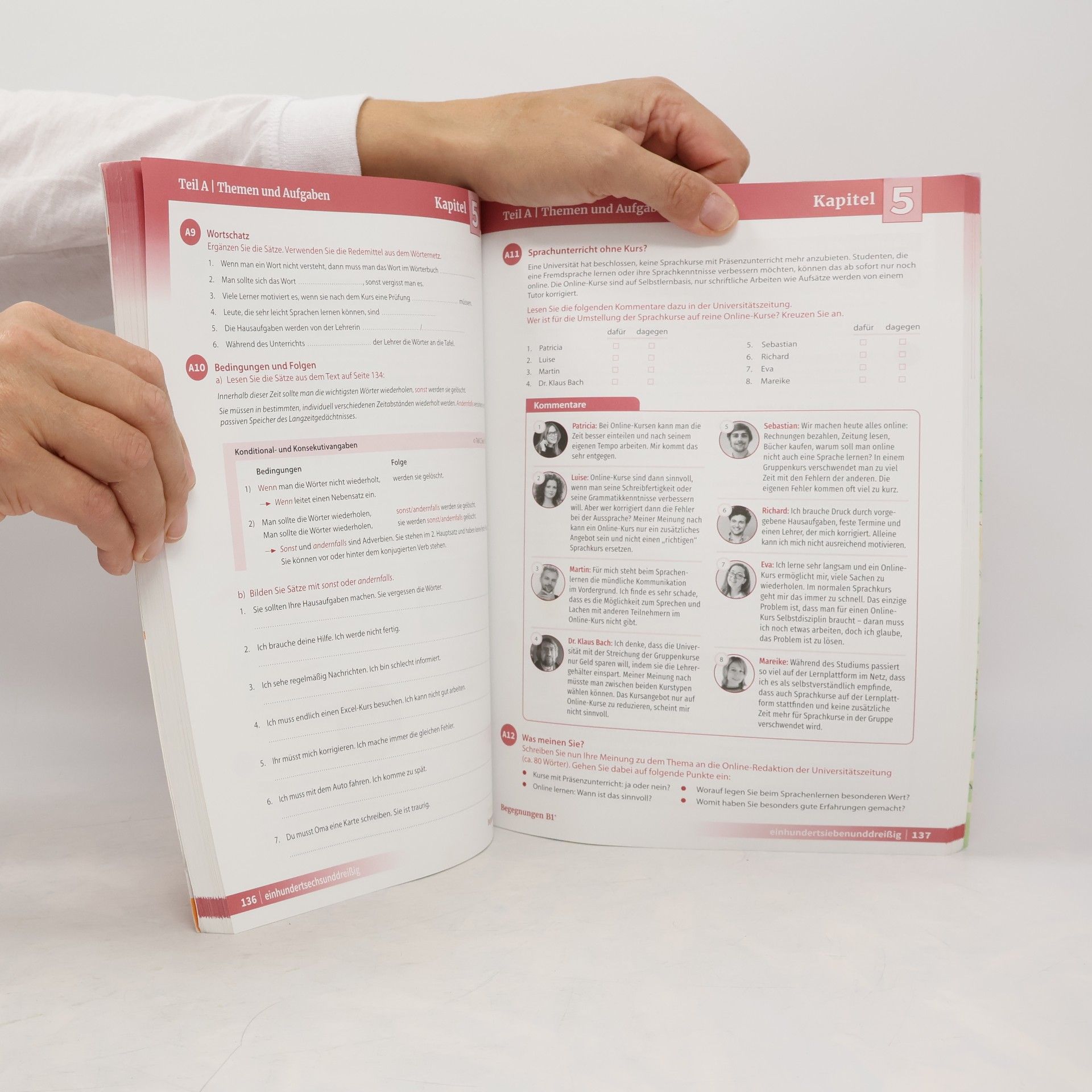Anne Buscha Begegnungen Deutsch als Fremdsprache B1+: Integriertes Kurs- und Arbeitsbuch