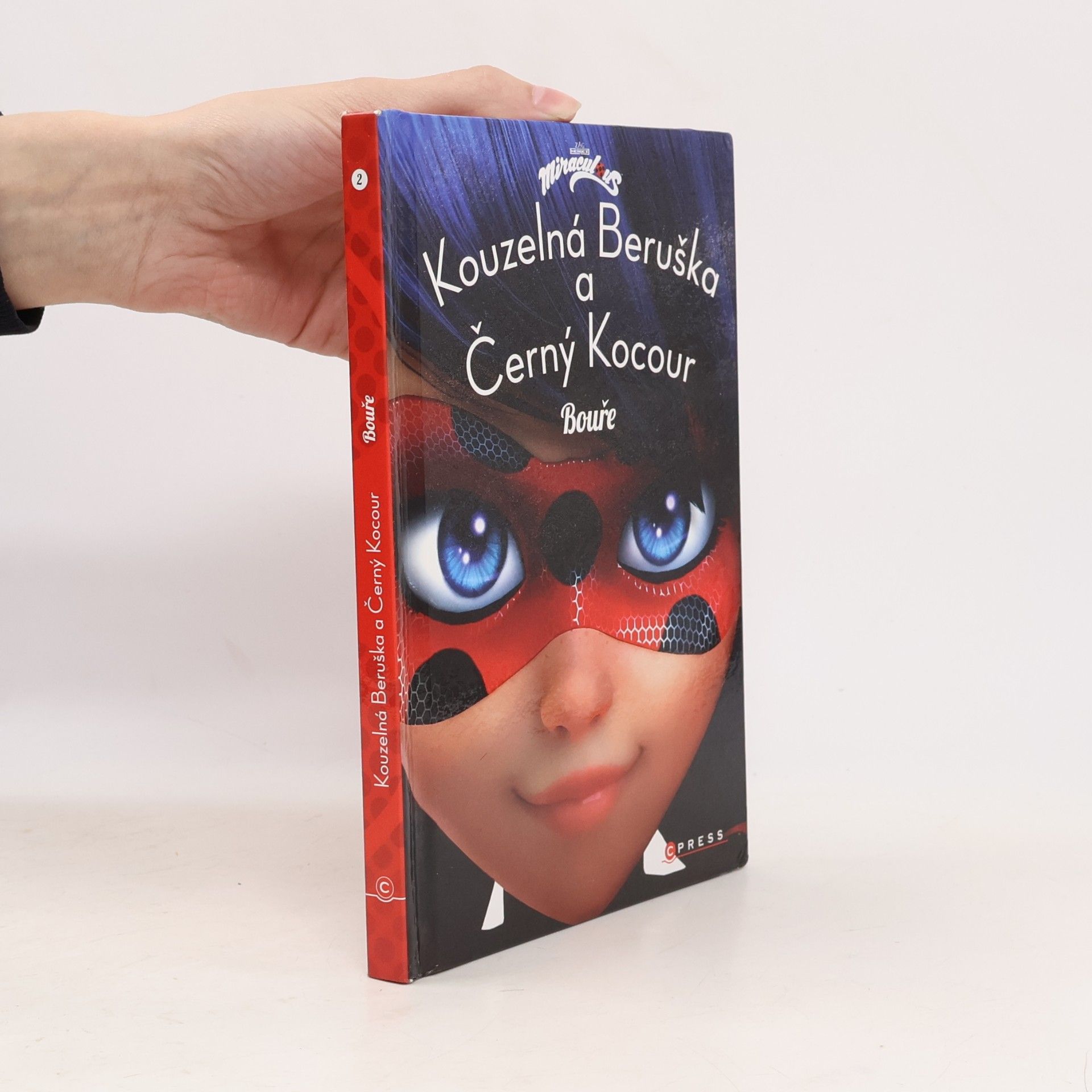 Kateřina Hošková Kouzelná Beruška a Černý Kocour. Bouře