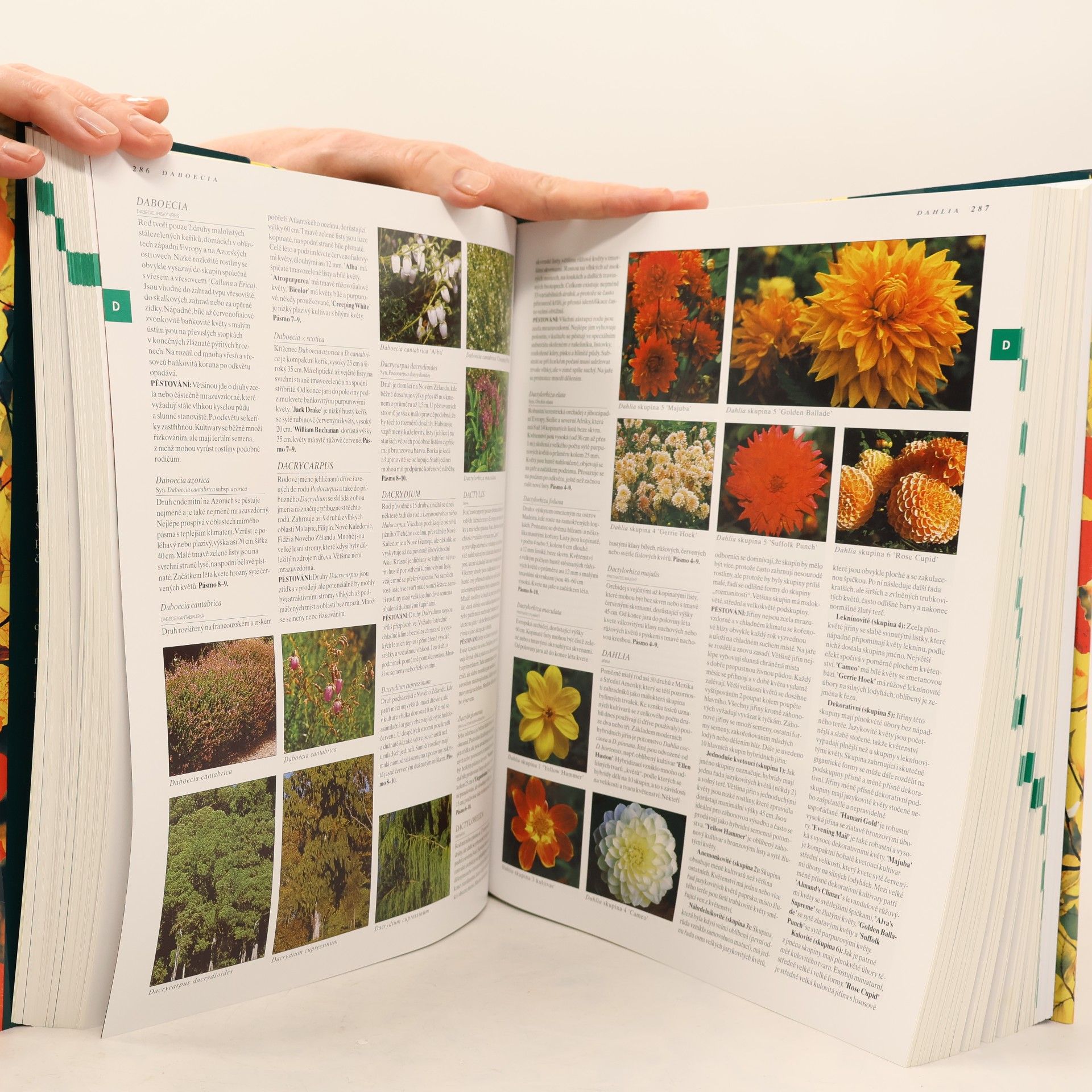 Geoffrey Burnie Botanika. Ilustrovaný abecední atlas 10 000 zahradních rostlin s návodem, jak je pěstovat