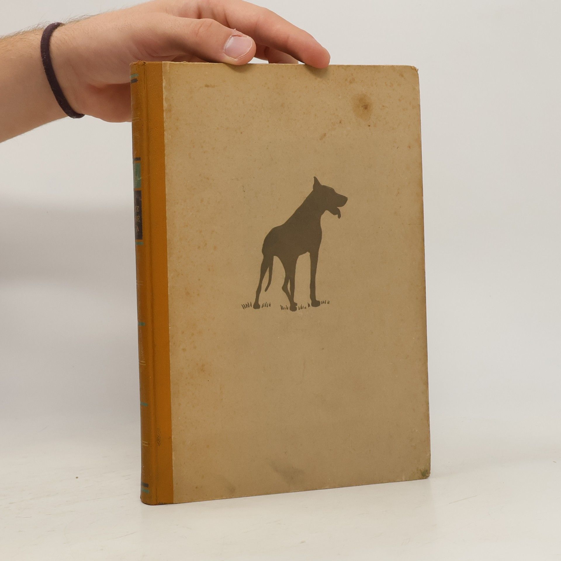 Die gelbe Dogge Senta