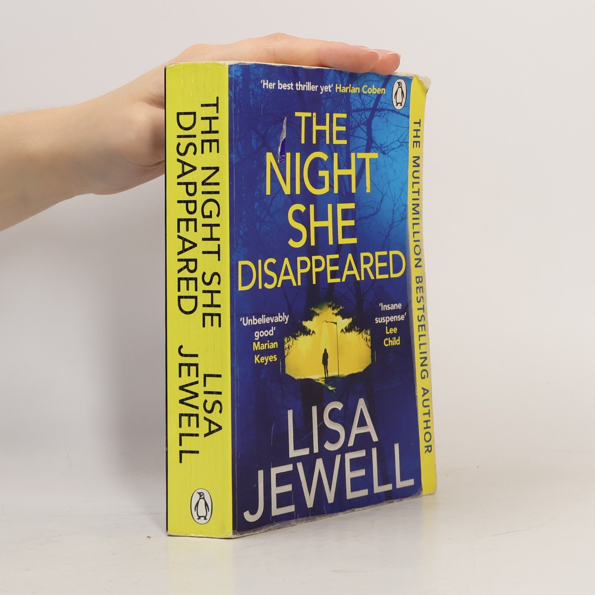 The Night She Disappeared