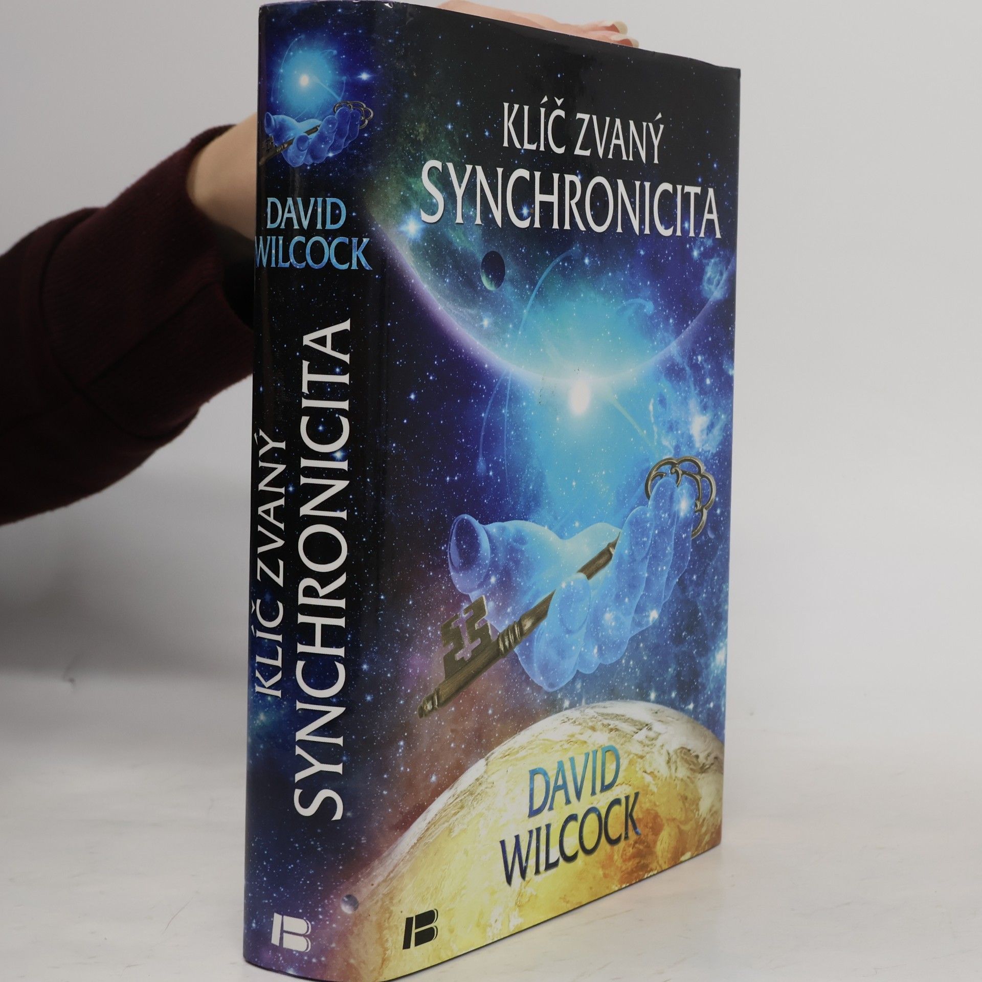 David Wilcock Klíč zvaný synchronicita