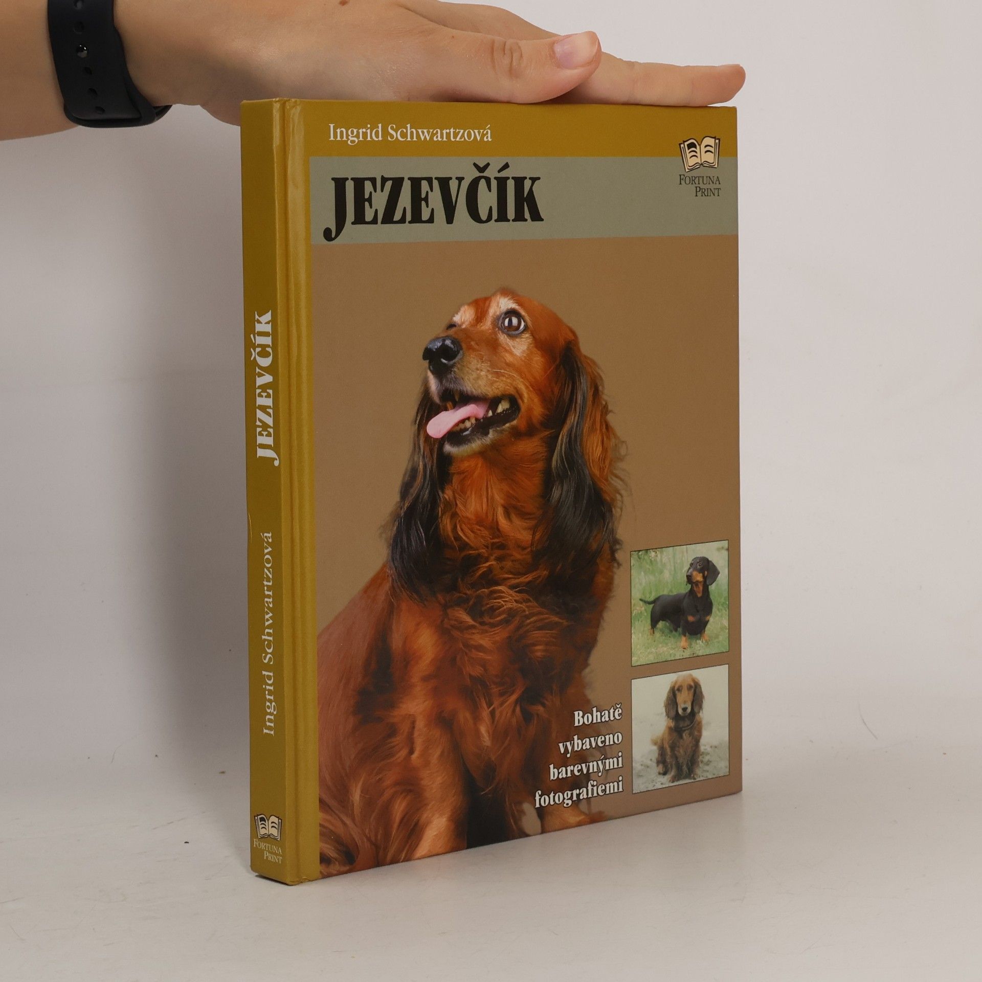 Ingrid Schwartz Jezevčík