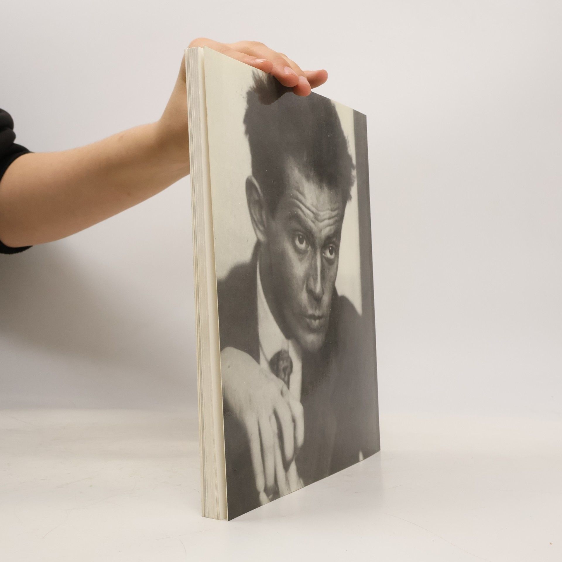 Serge Sabarsky Egon Schiele